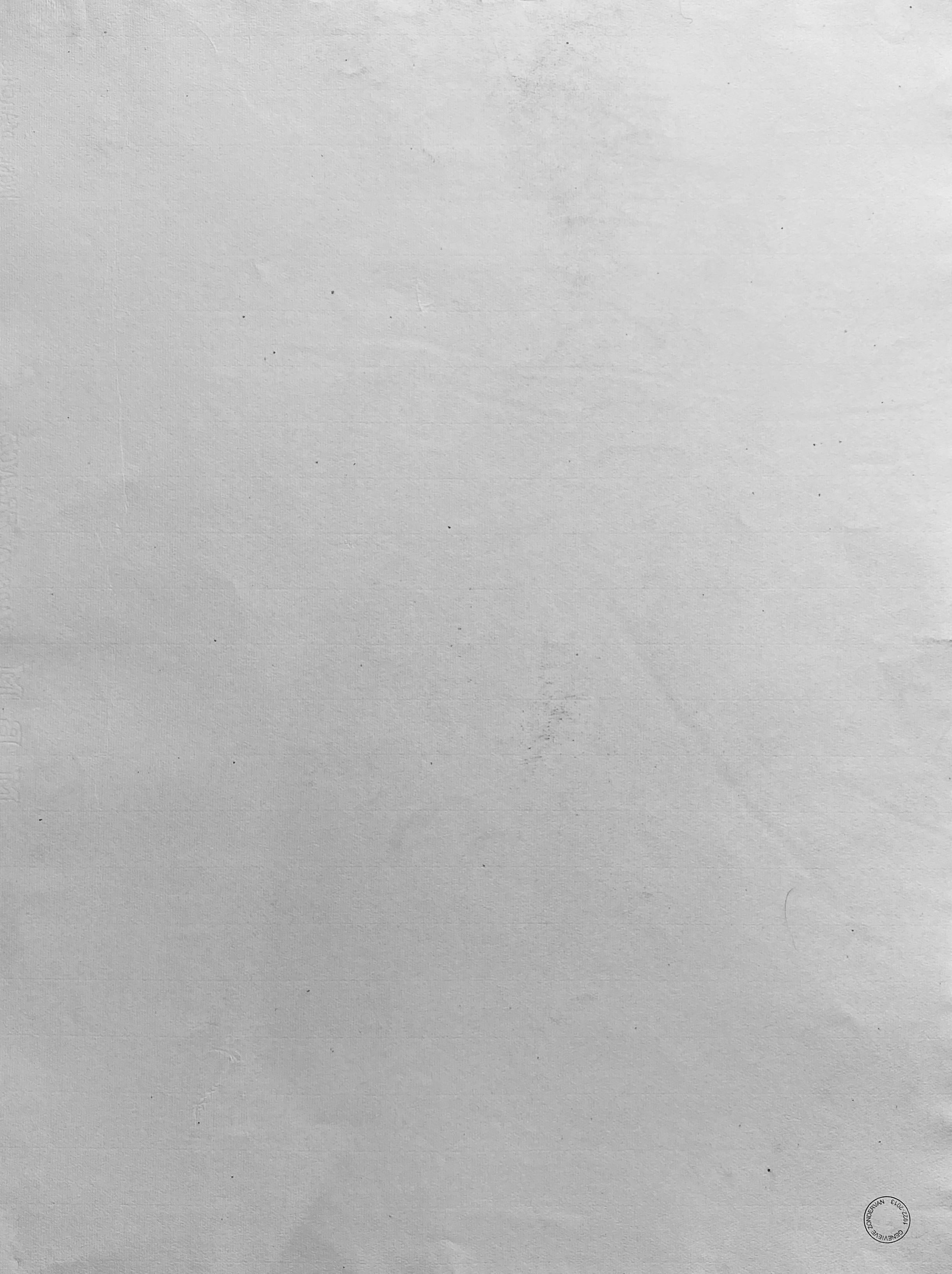 Drawing au fusain français du milieu du 20e siècle - Portrait d'une femme nue debout - Post-impressionnisme Painting par GENEVIEVE ZONDERVAN (1922-2013)
