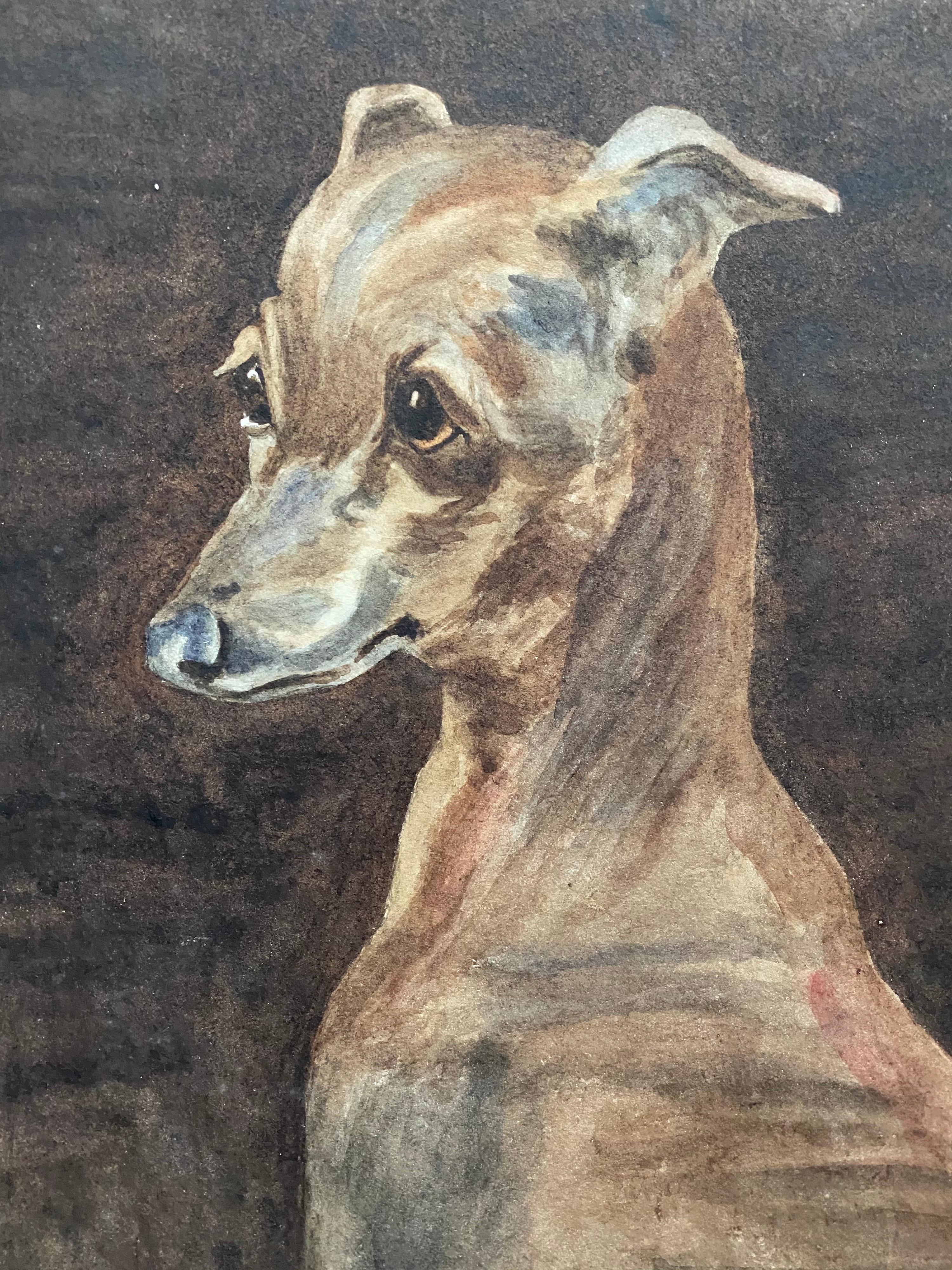 whippet paint color