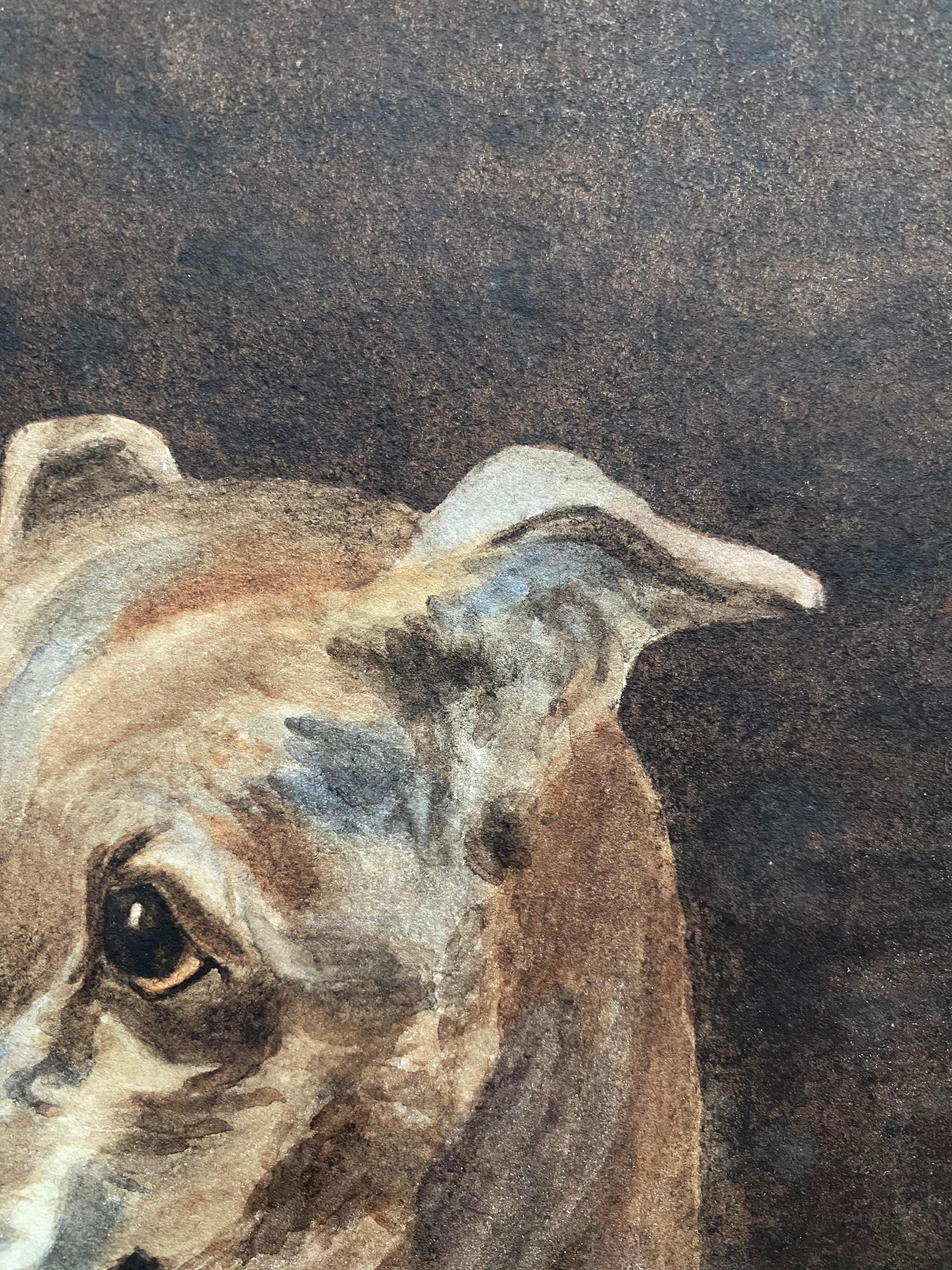 Fine 1900's British Dog Painting Portrait of a Whippet, Painted in Rome - Victorian Art by L. J. Wortley