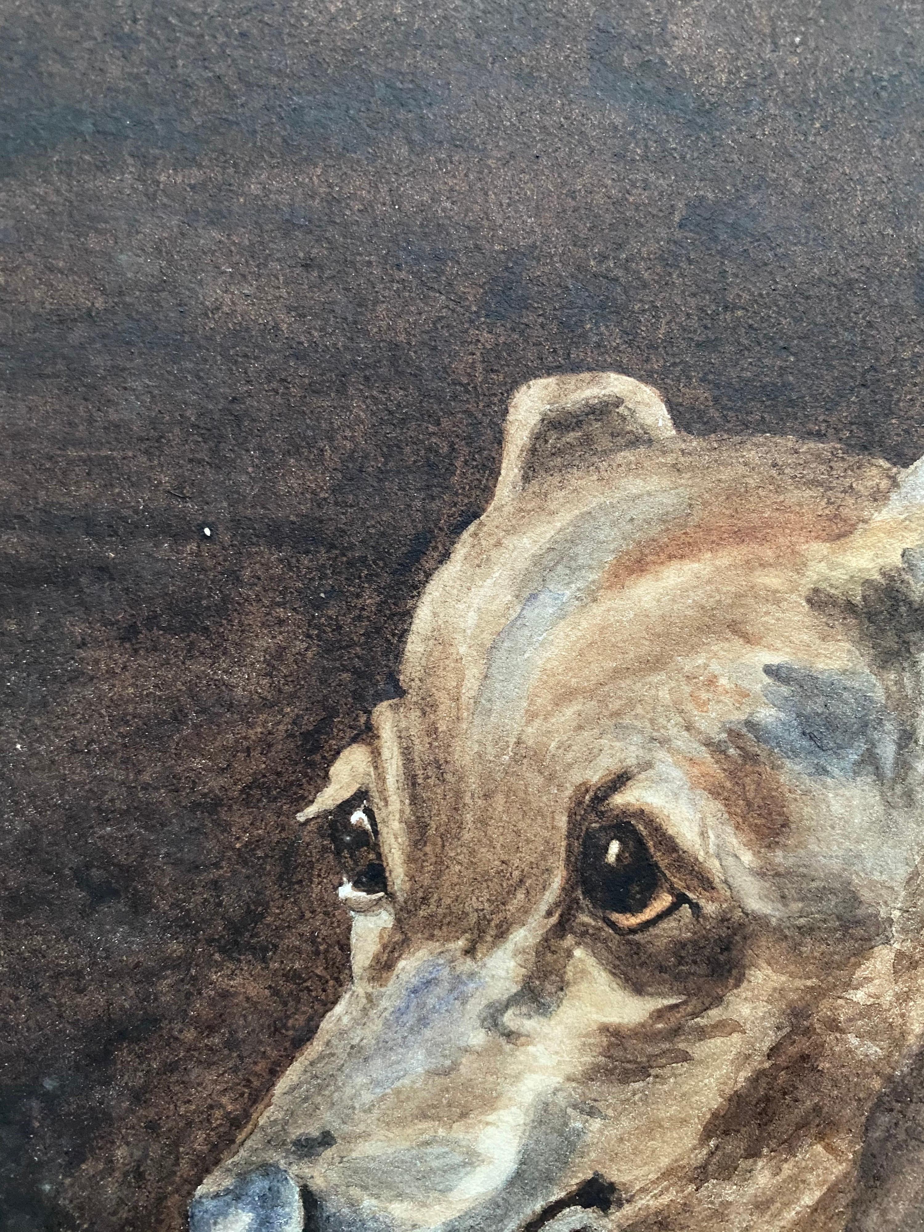 Fine 1900's British Dog Painting Portrait of a Whippet, Painted in Rome - Gray Animal Art by L. J. Wortley