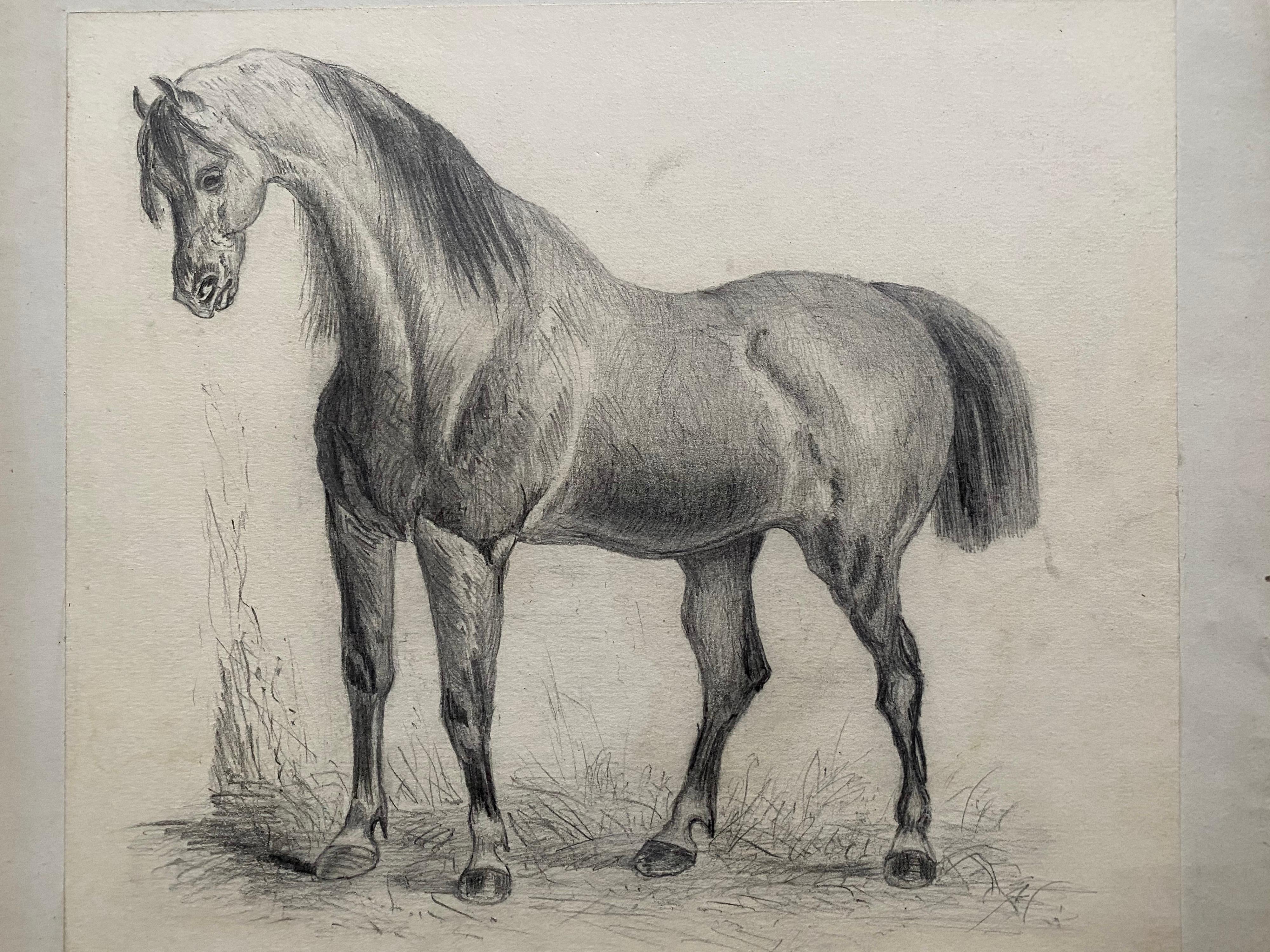 Étude de cheval classique du début du XIXe siècle - Maîtres anciens Art par Jacques-Laurent Agasse