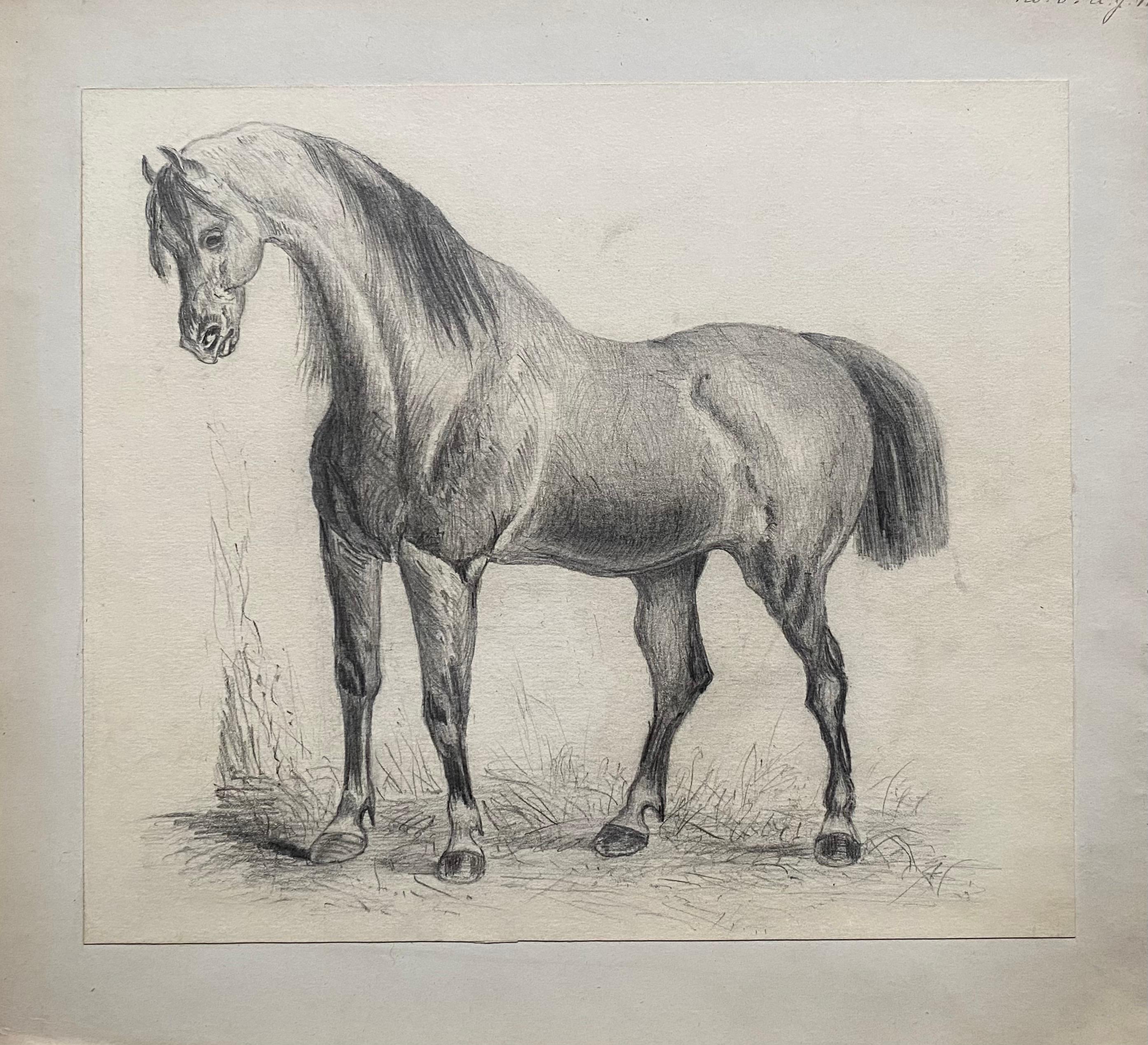 Fine Early 19th Century Classical Horse Study - Art by Jacques-Laurent Agasse