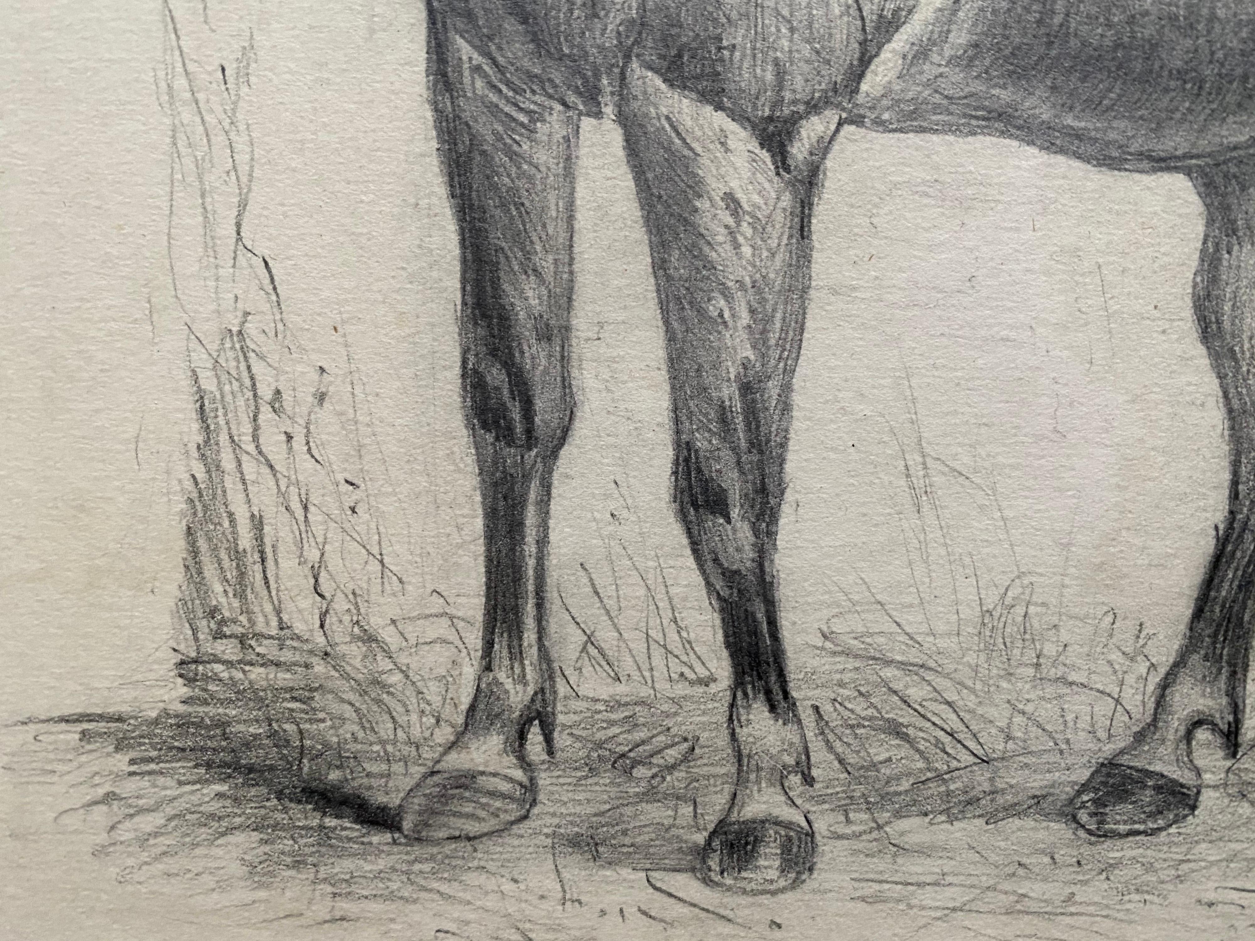 Fine Early 19th Century Classical Horse Study - Old Masters Art by Jacques-Laurent Agasse