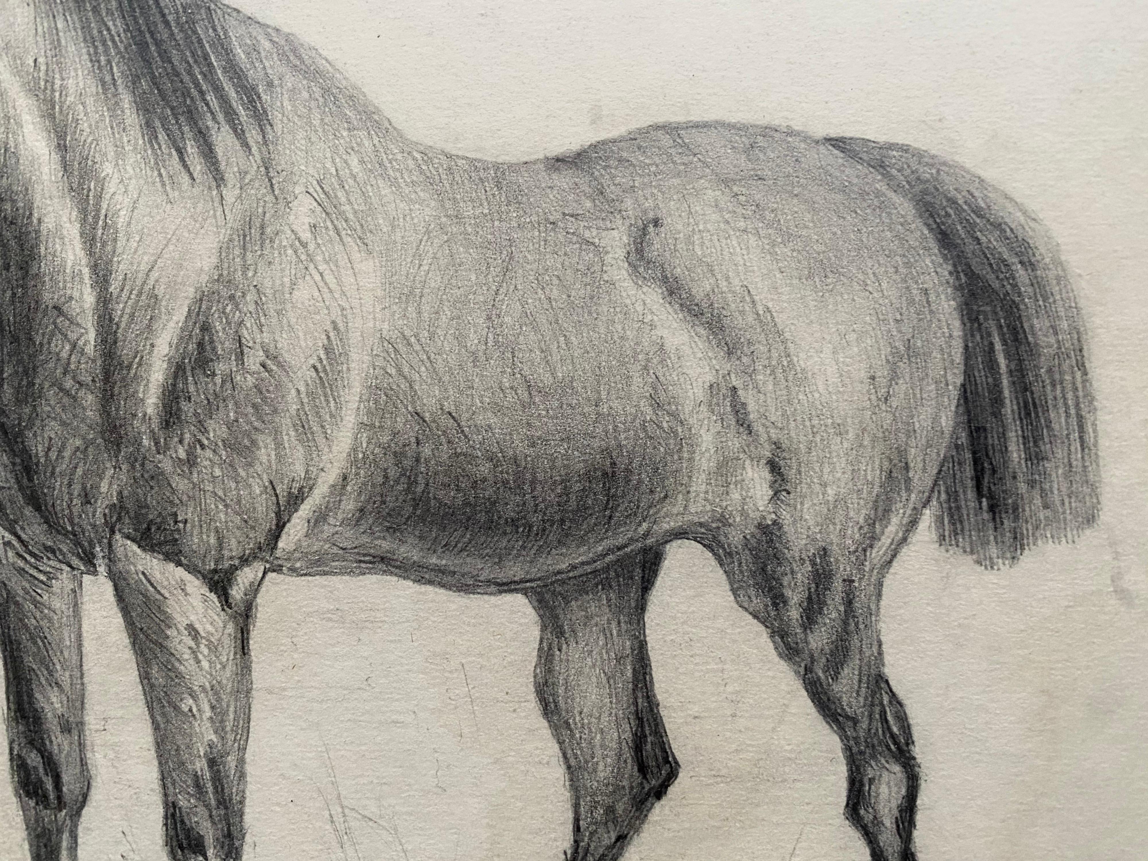 Fine Early 19th Century Classical Horse Study - Gray Animal Art by Jacques-Laurent Agasse