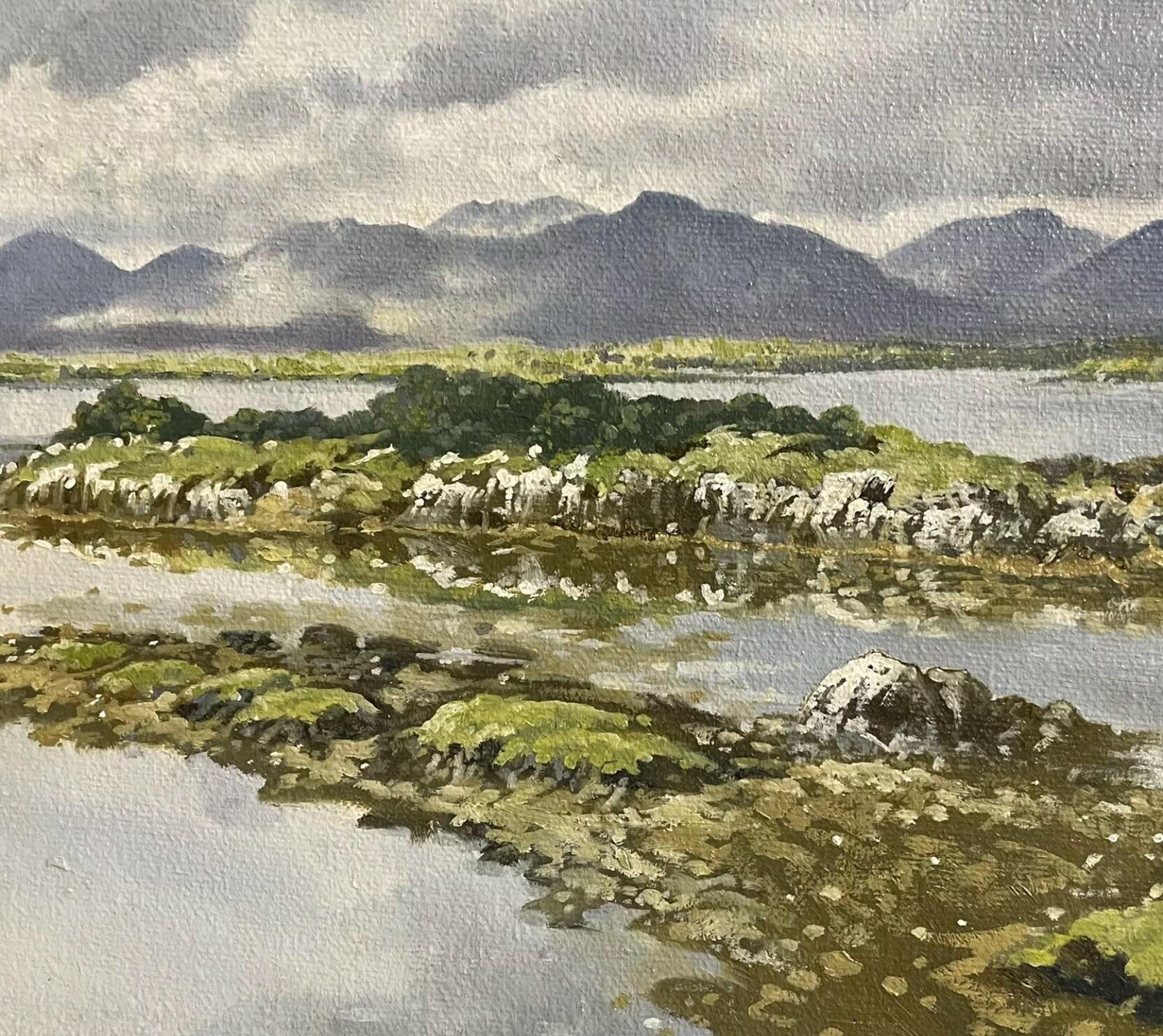 Signed Irish Oil Painting - Boggy Irish Lough Landscape Distant Mountain Range For Sale 1