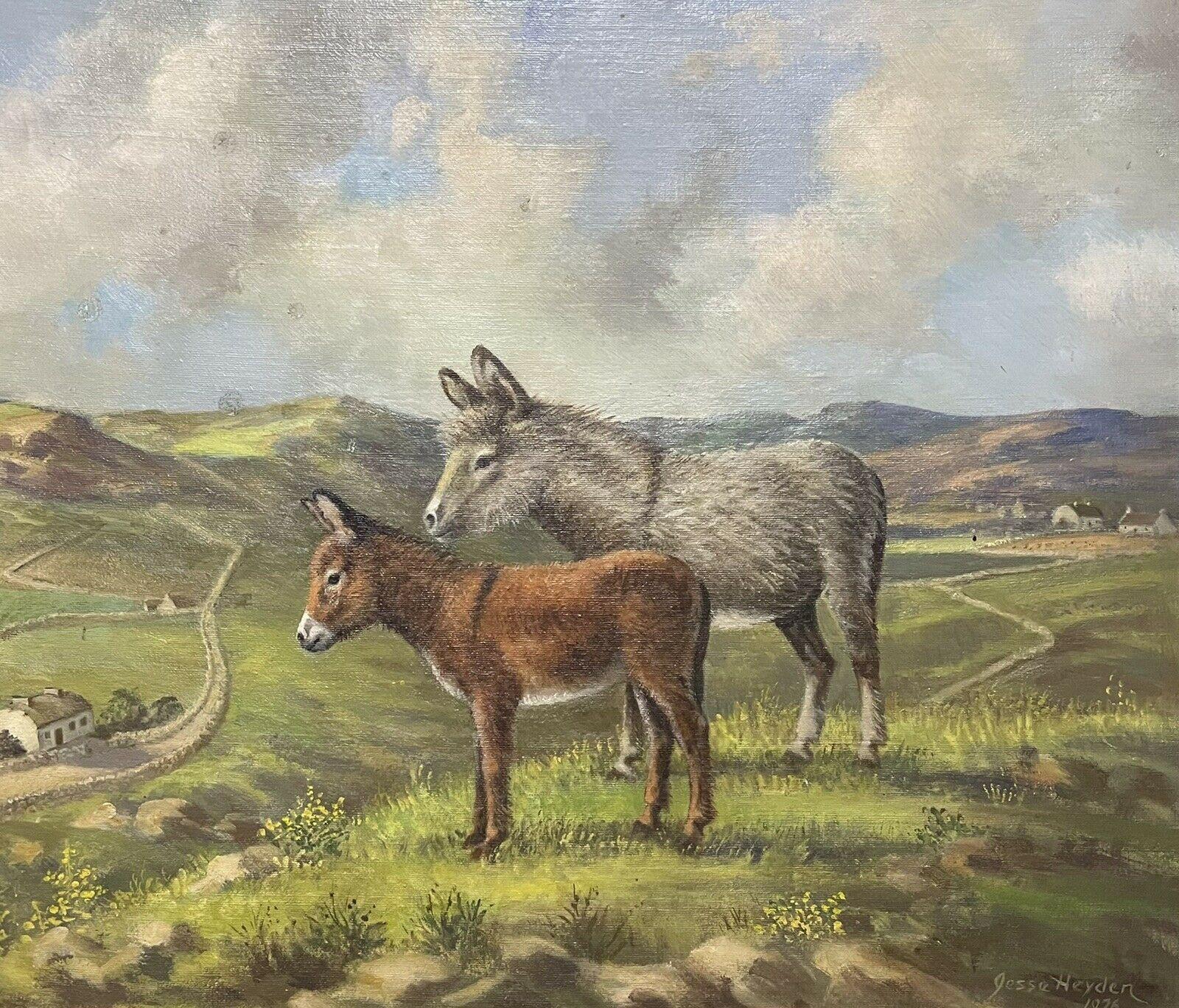 Irish School Animal Painting - VINTAGE IRISH SIGNED OIL PAINTING - DONKEYS STANDING IN CO. DOWN LANDSCAPE FIELD