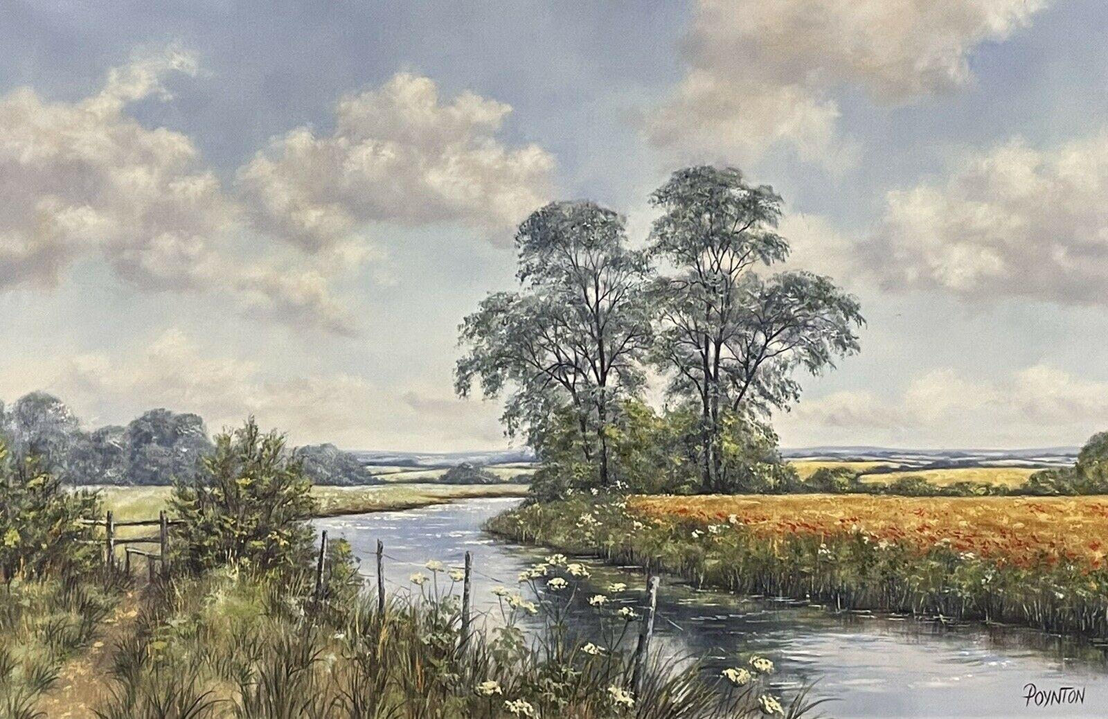 Landscape Painting di Deborah Poynton - DEBORAH POYNTON - DIPINTO A OLIO BRITANNICO DI GRANDI DIMENSIONI - PAESAGGIO FLUVIALE CON GRANO E PAPAVERI