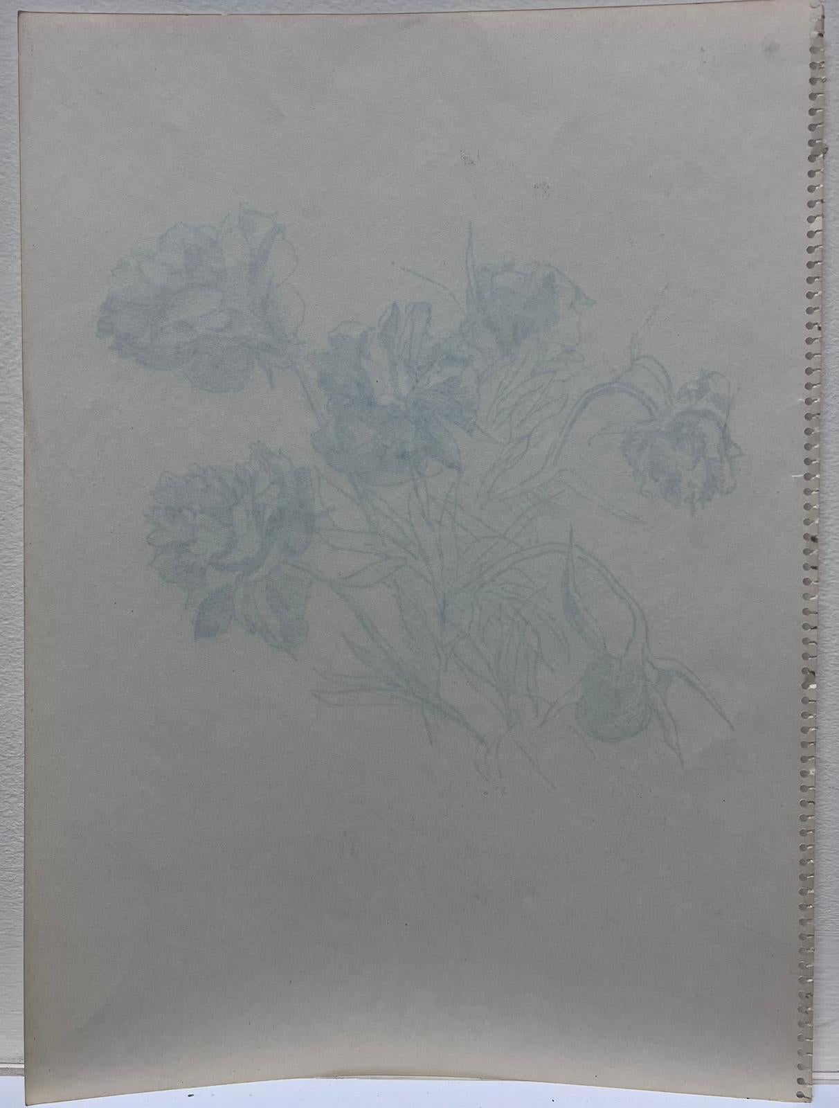 Delicate Tintenskizze von Pfingstrosen Minimalistische floraler Studie im Angebot 2