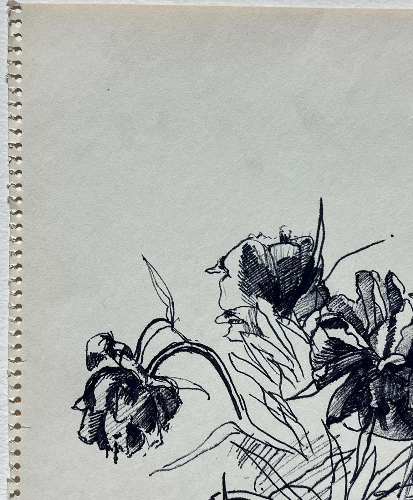 Minimalistische florale Studie
feine Federzeichnung auf Künstlerpapier
Gemälde: 11,5 x 8,5 Zoll
Provenienz: Privatsammlung, England
Zustand: sehr guter und gesunder Zustand

Beschreibung:
Diese anmutige Tuscheskizze fängt die Schönheit der blühenden