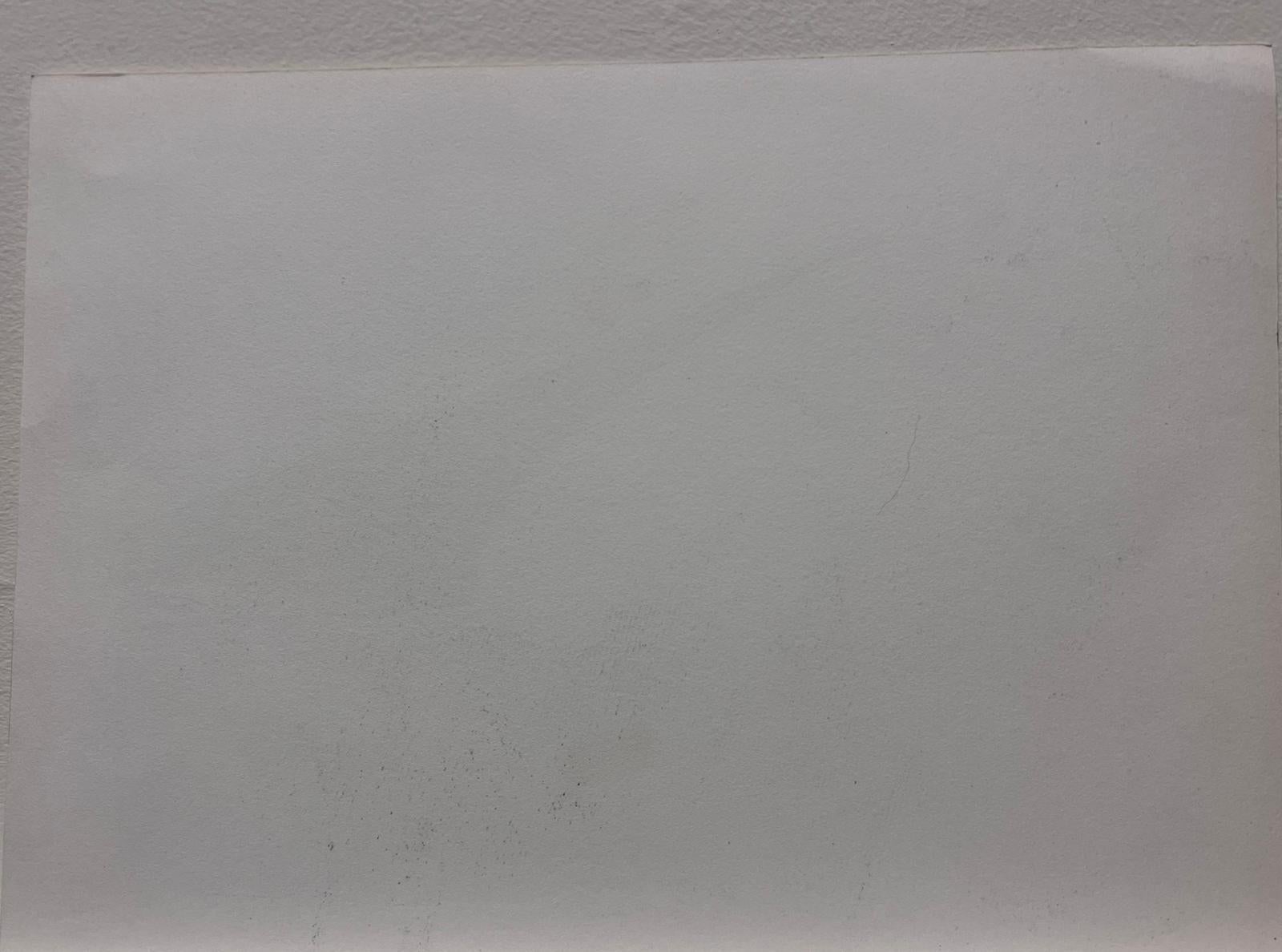 Minimalistische Luftperspektive eines Flugzeugflügels Zeitgenössisches Kunstwerk im Angebot 1