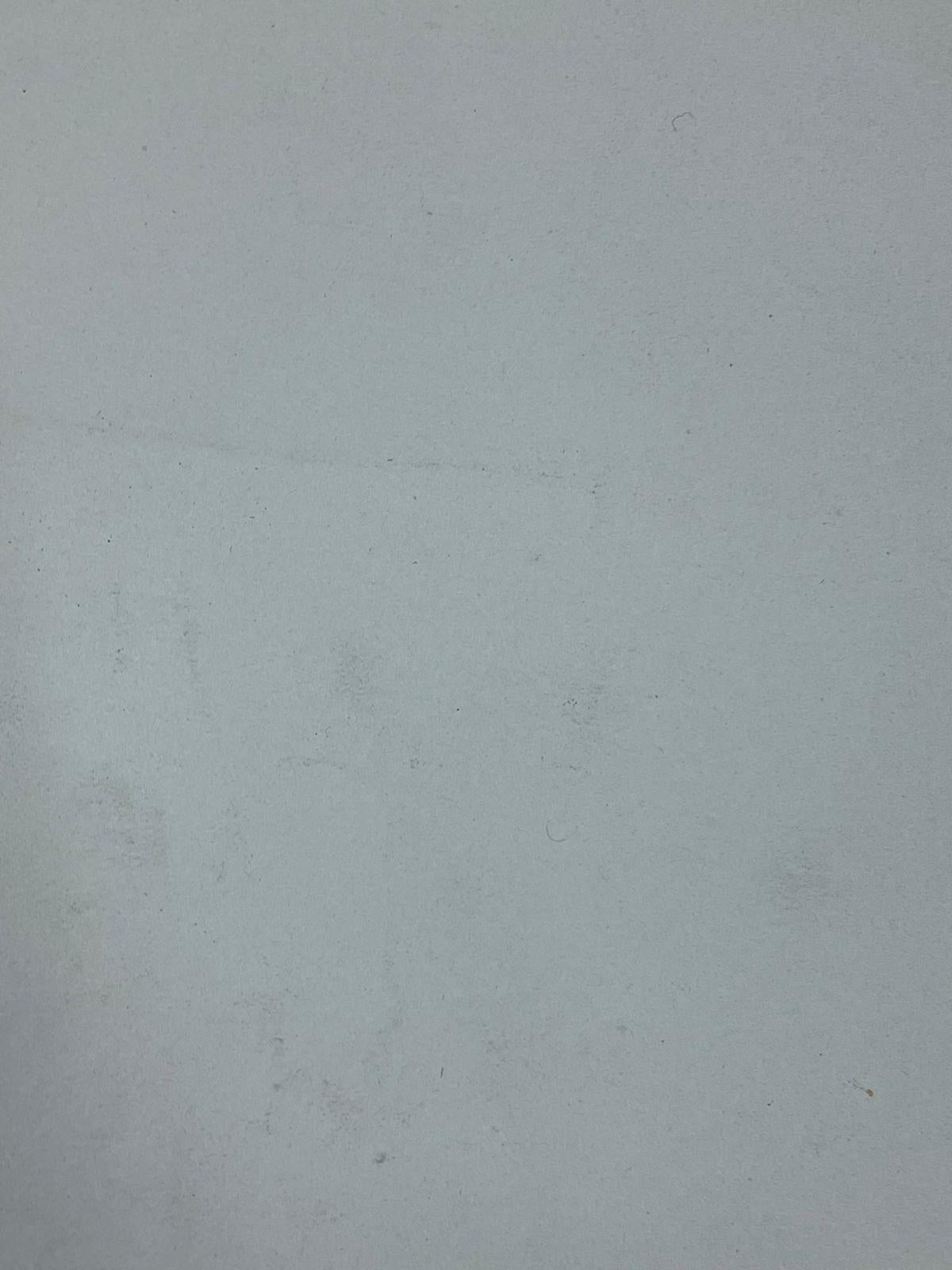 Figura nuda in piedi
disegno a penna nera su carta da artista
dipinto: 13,75 x 9 pollici
provenienza: collezione privata, Inghilterra
condizioni: ottime e solide condizioni