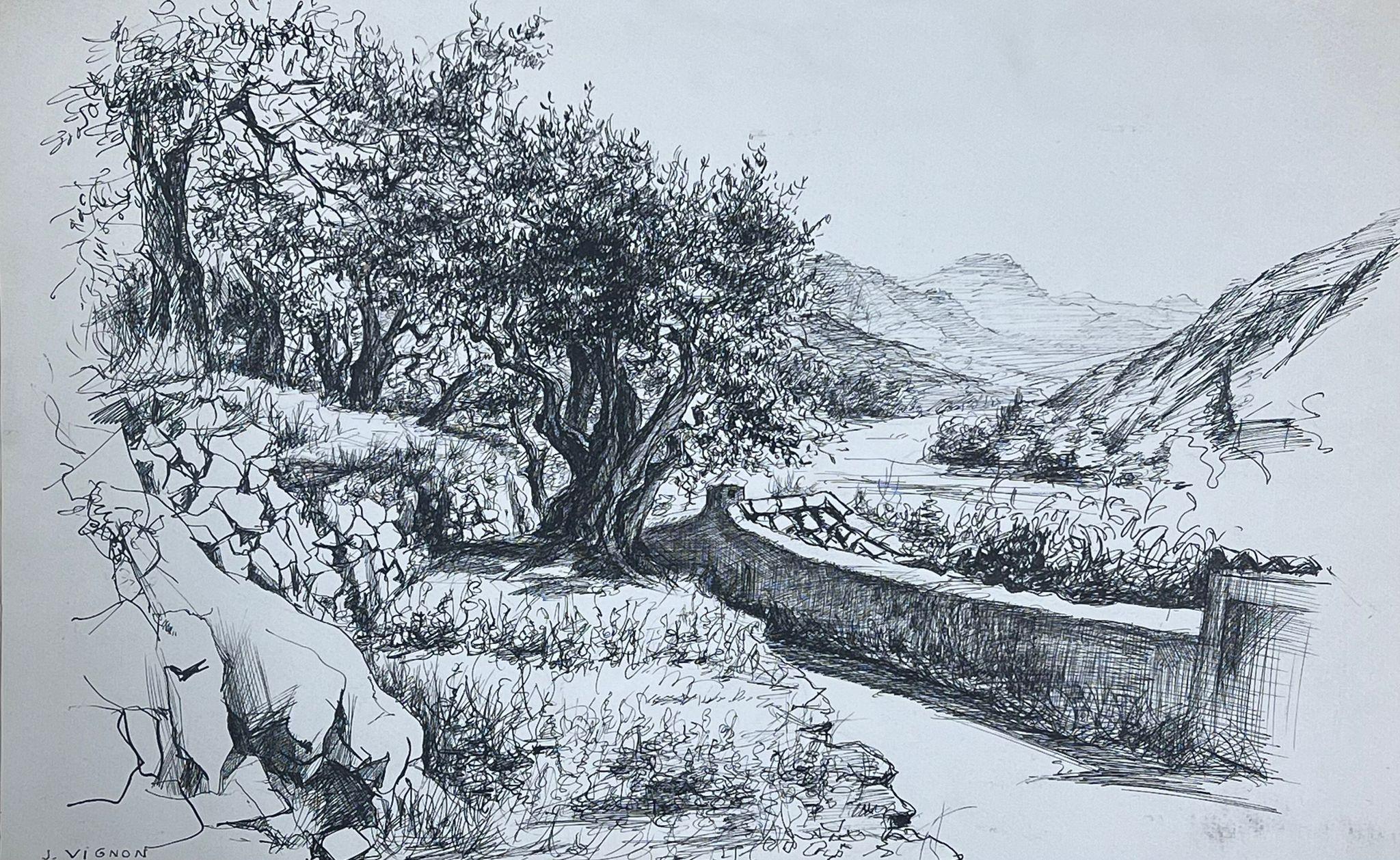 Paisaje con olivo centenario, muro de piedra y sendero serpenteante