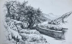 Landschaft mit altem Olivenbaum, Wandteppich aus Stein und schwebendem, führendem Weg