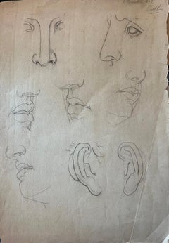 Antique French Boceto Estudio de Rasgos Faciales