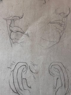 Antique French Sketch Study of Facial Features