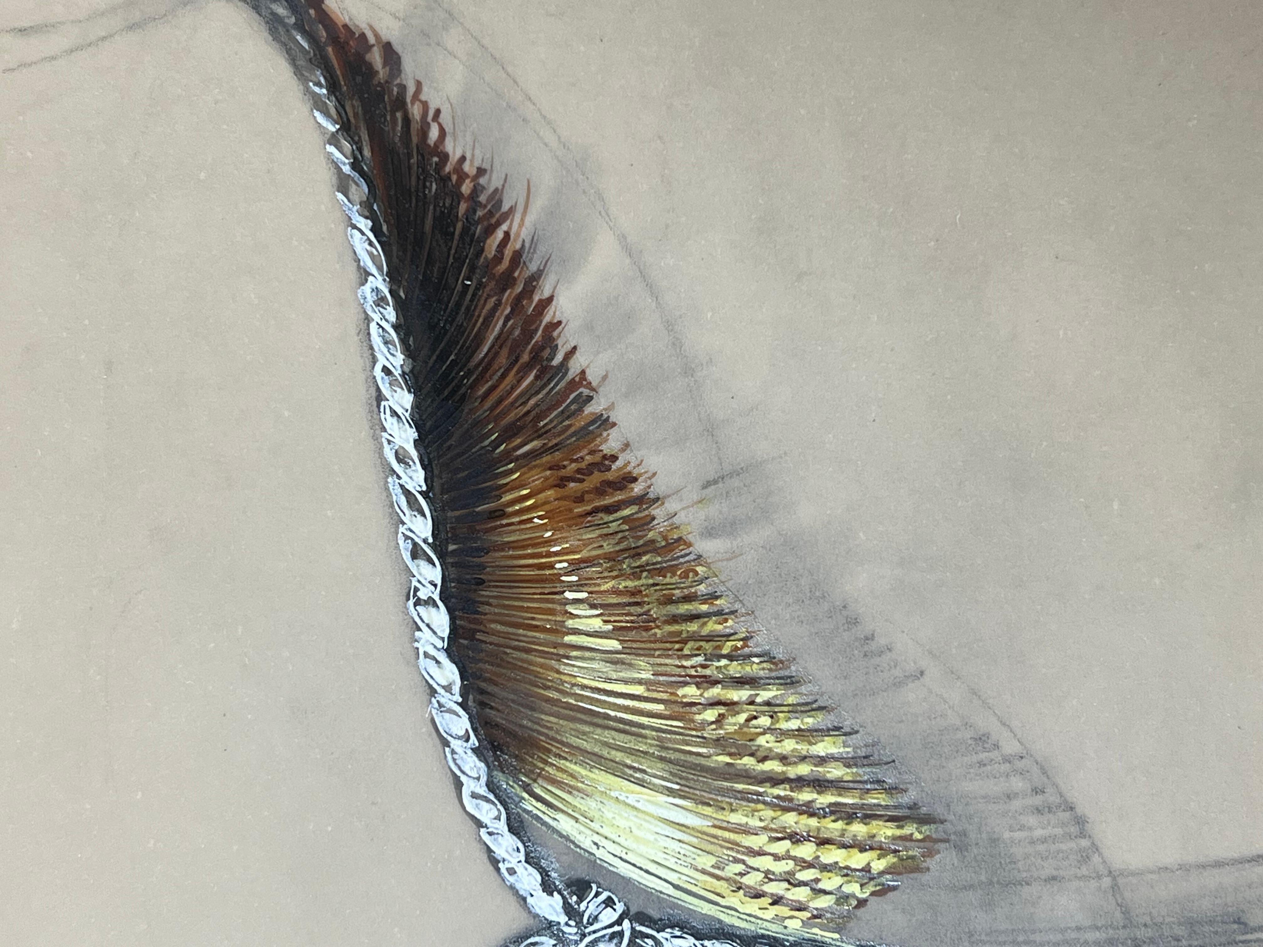 Piume di Splendore: Una dualità di gioielli duo dal volo opulento
circa metà del XX secolo
di Paul Touzet (francese, nato nel 1917)
pittura originale a guazzo, con matita su carta da lucido
bloccato su un cartoncino sottile
dimensioni complessive