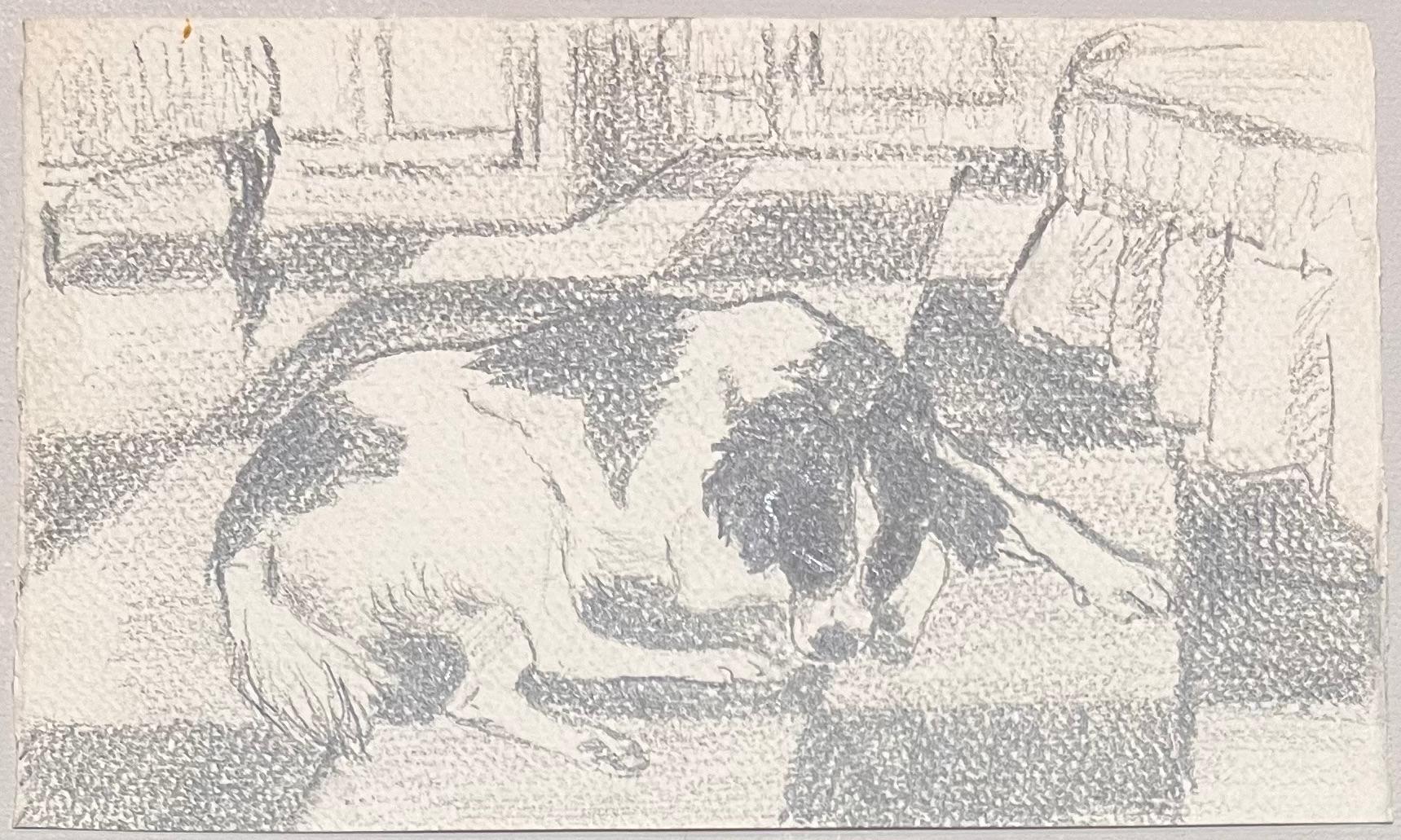 Disegno a matita francese del metà del secolo scorso Cane addormentato su pavimento a scacchiera - Art di Josine Vignon