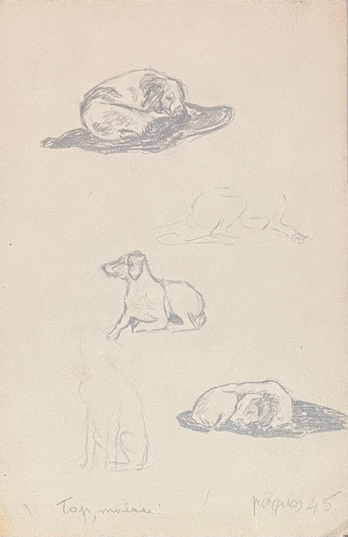 Figurative Art di Josine Vignon - Disegno a matita francese della metà del secolo scorso che raffigura un cane in varie pose