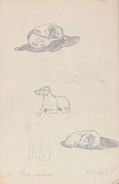 Dibujo a lápiz francés de mediados de siglo Estudio de un perro en varias posturas