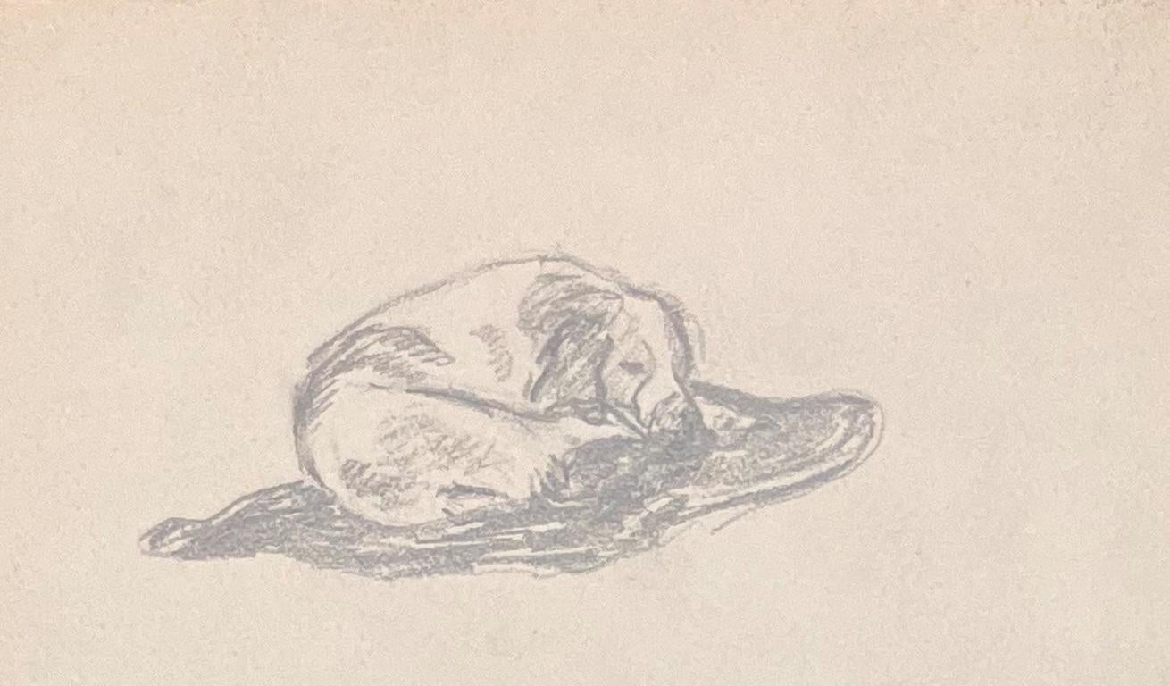 Disegno a matita francese della metà del secolo scorso che raffigura un cane in varie pose - Art Postimpressionismo di Josine Vignon