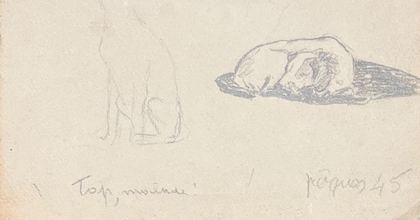 Titolo: Disegno a matita francese della metà del secolo scorso di un cane in varie pose

Artista: Josine Vignon (francese, 1922-2022)

Mezzo: Matita su carta

Dimensioni: 9,75 (altezza) x 6,75 (larghezza)

Timbrato: Verso

Condizioni: