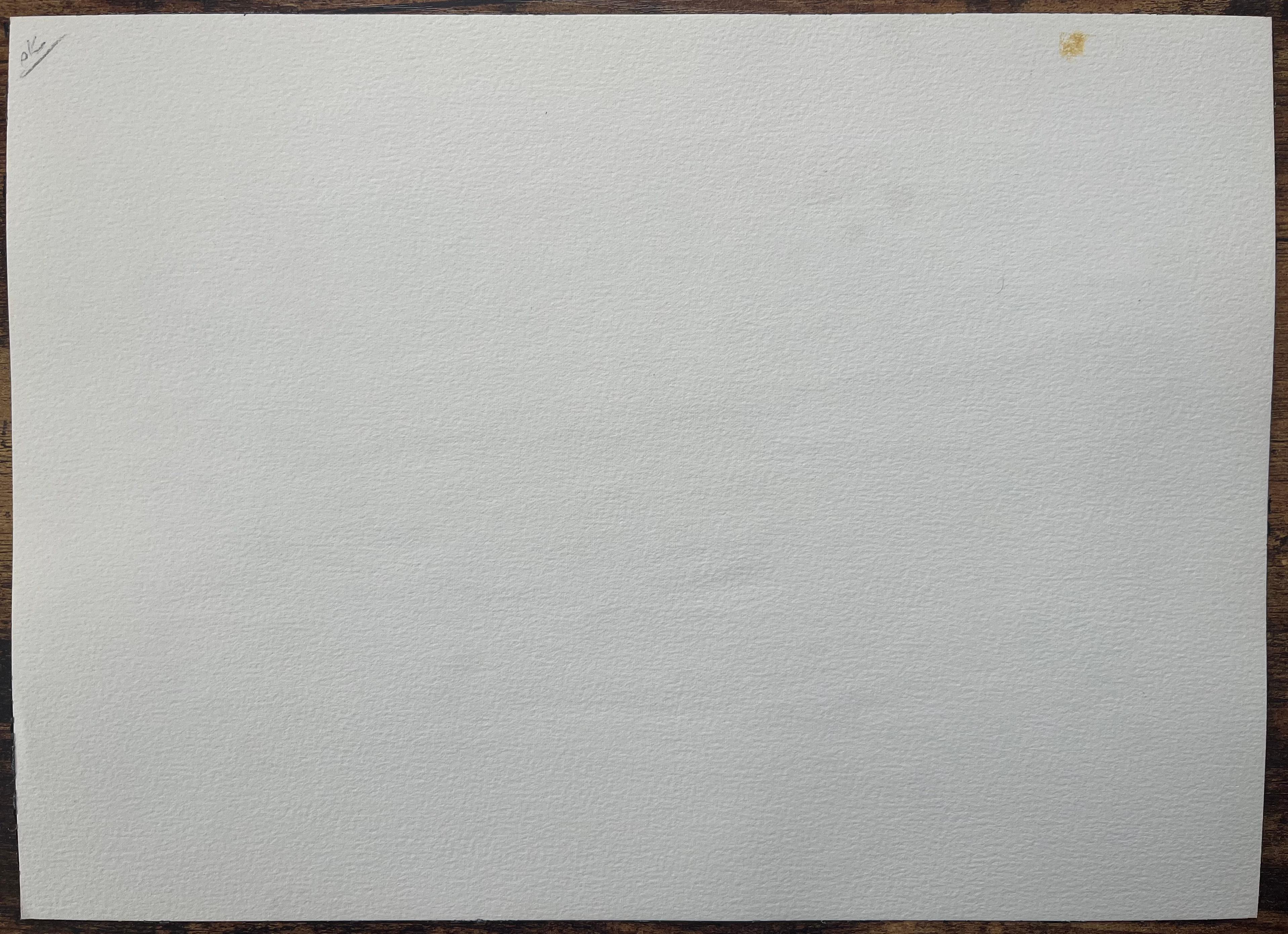 Aquarelle française du Village de Pêcheurs au Canon en vente 2