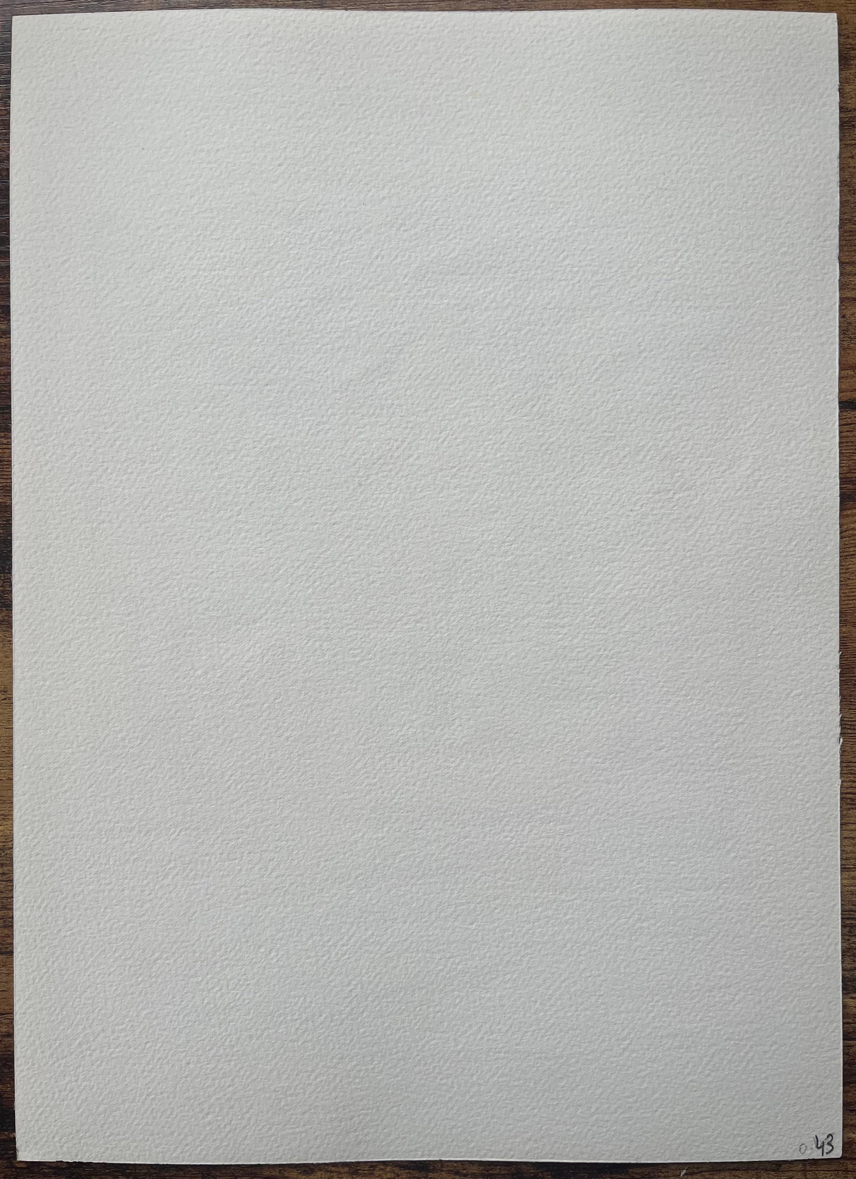 Aquarelle française du village pittoresque de Biriatou en vente 2