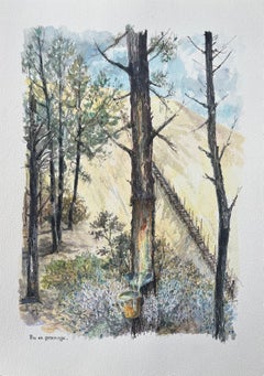 Französisches Aquarellgemälde in Pin en Gemmage in Waldgebieten, Pin en Gemmage
