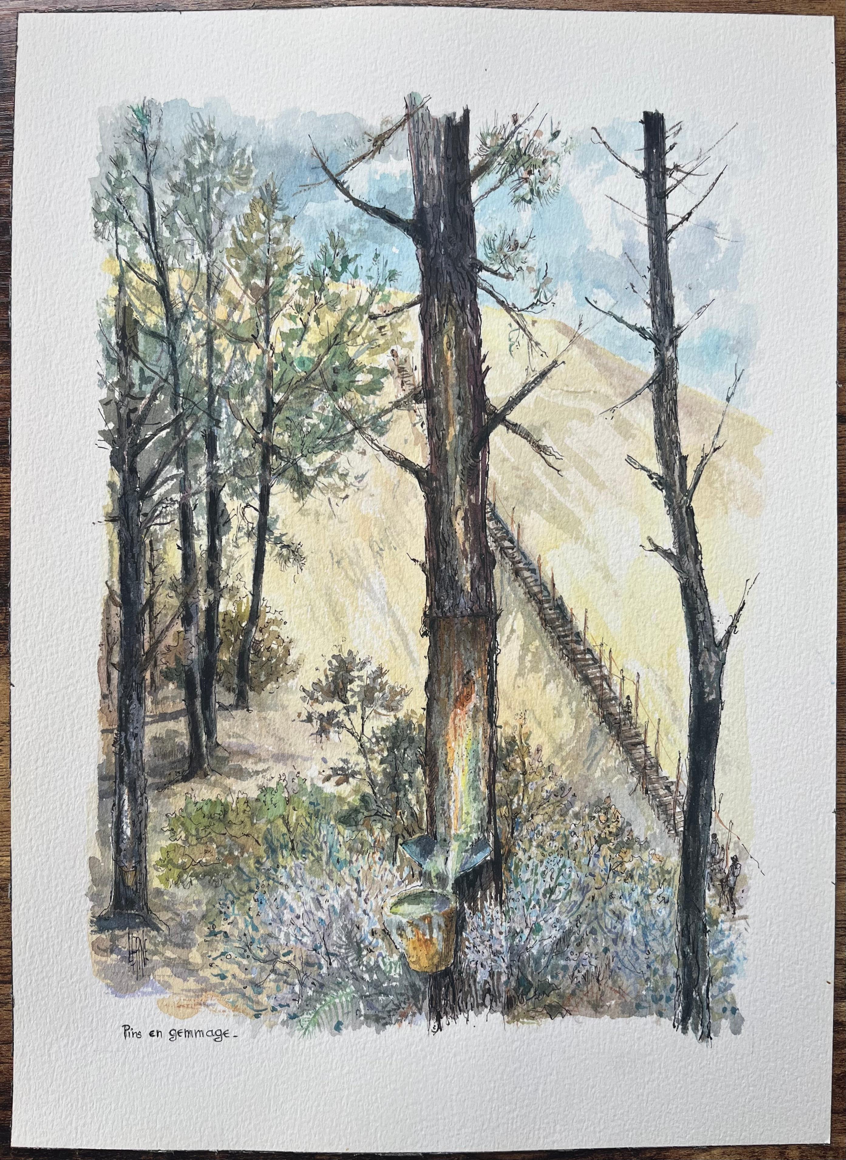 French Watercolor Painting of “Pin en Gemmage” in Forested Dunes - Gray Landscape Painting by Robert Lepine (1929 - 2017)
