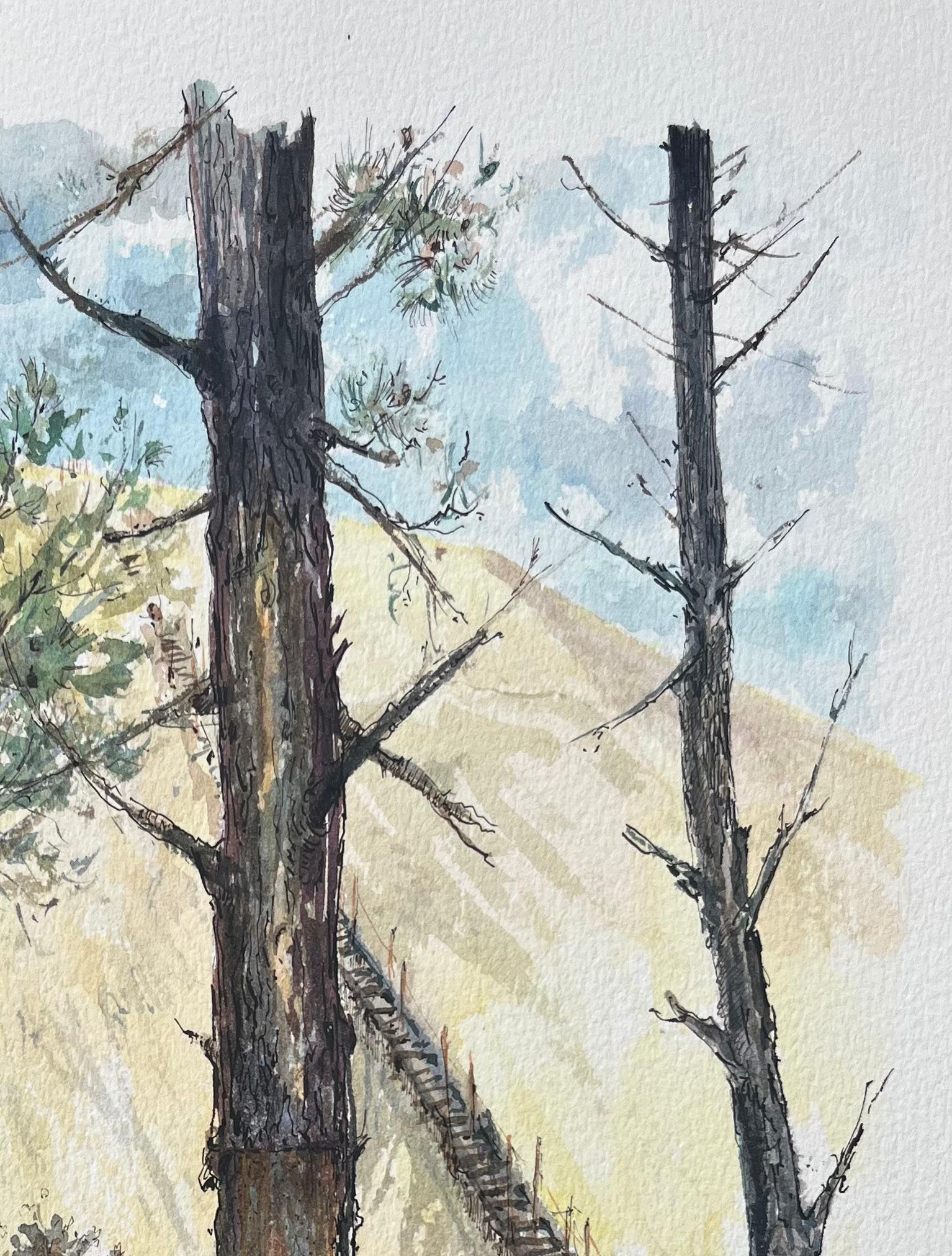 French Watercolor Painting of “Pin en Gemmage” in Forested Dunes For Sale 3