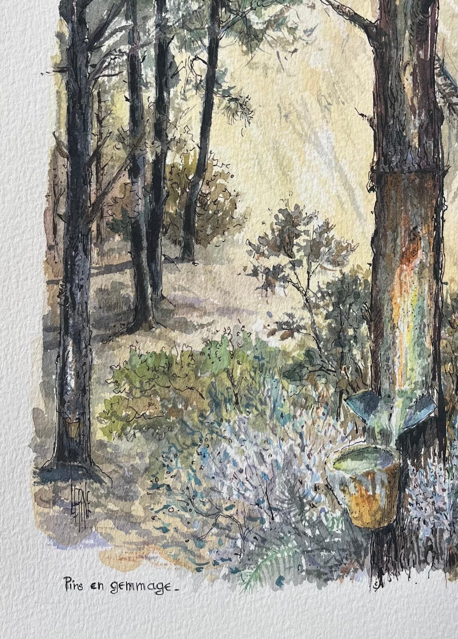 French Watercolor Painting of “Pin en Gemmage” in Forested Dunes For Sale 1