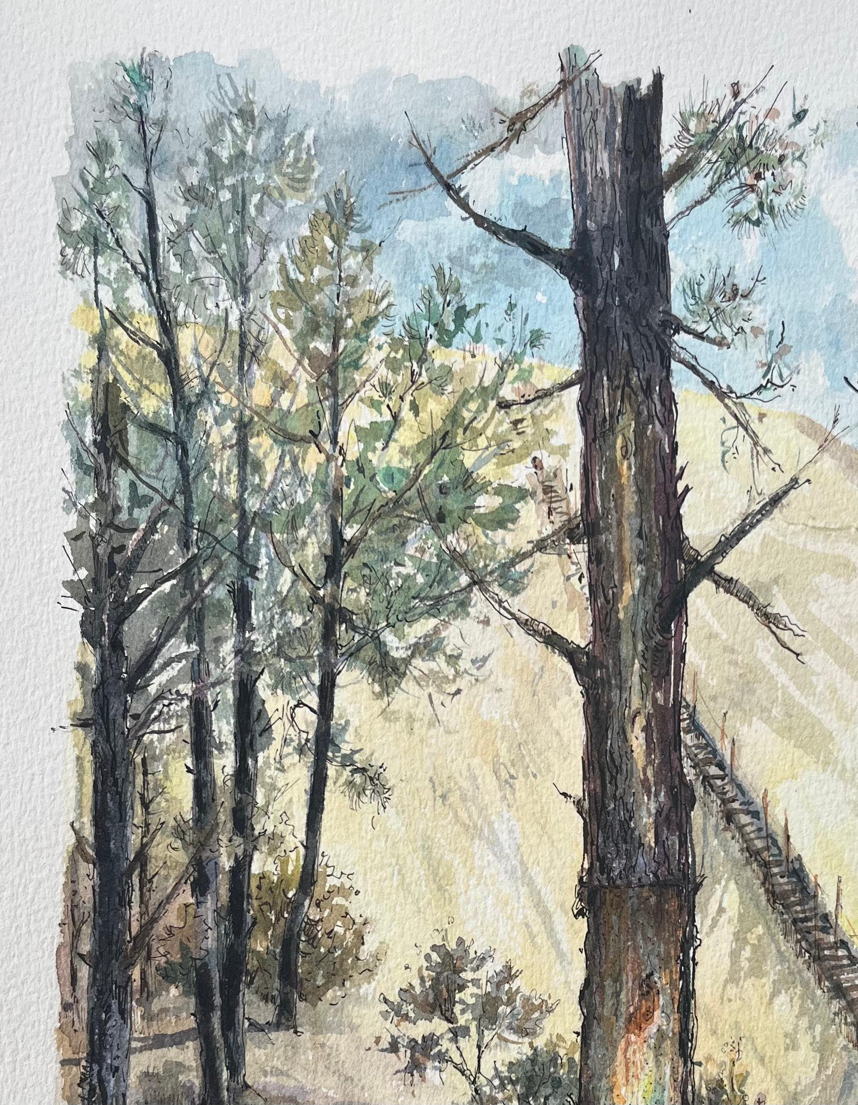 French Watercolor Painting of “Pin en Gemmage” in Forested Dunes For Sale 2