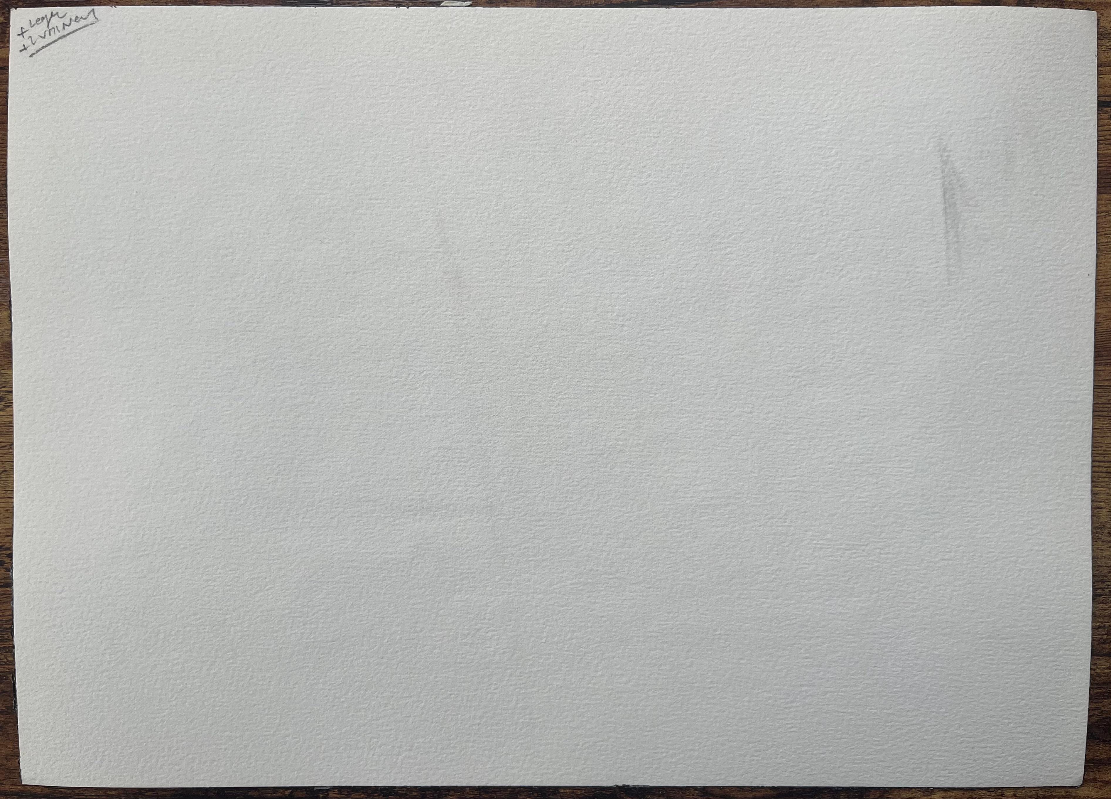 Französisches Aquarellgemälde einer traditionellen Ferme Landaise, Französisch im Angebot 2