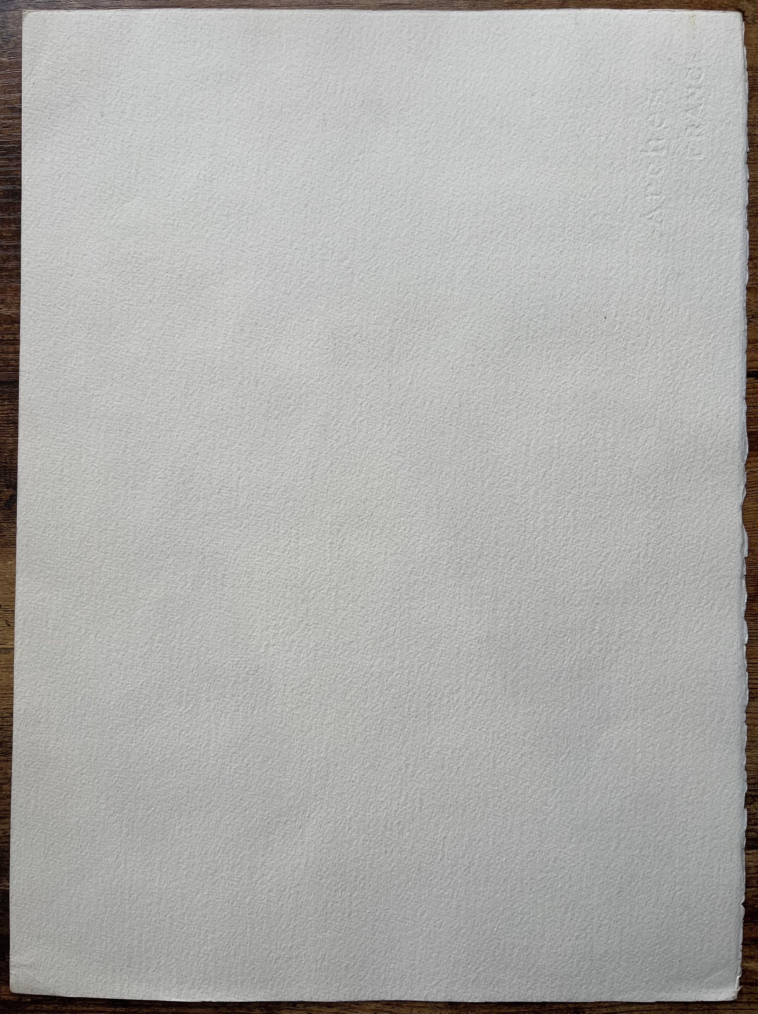 Französisches Aquarell des Sonnenuntergangs an der Küste von Beaulieu mit Bäumen und Booten im Angebot 1