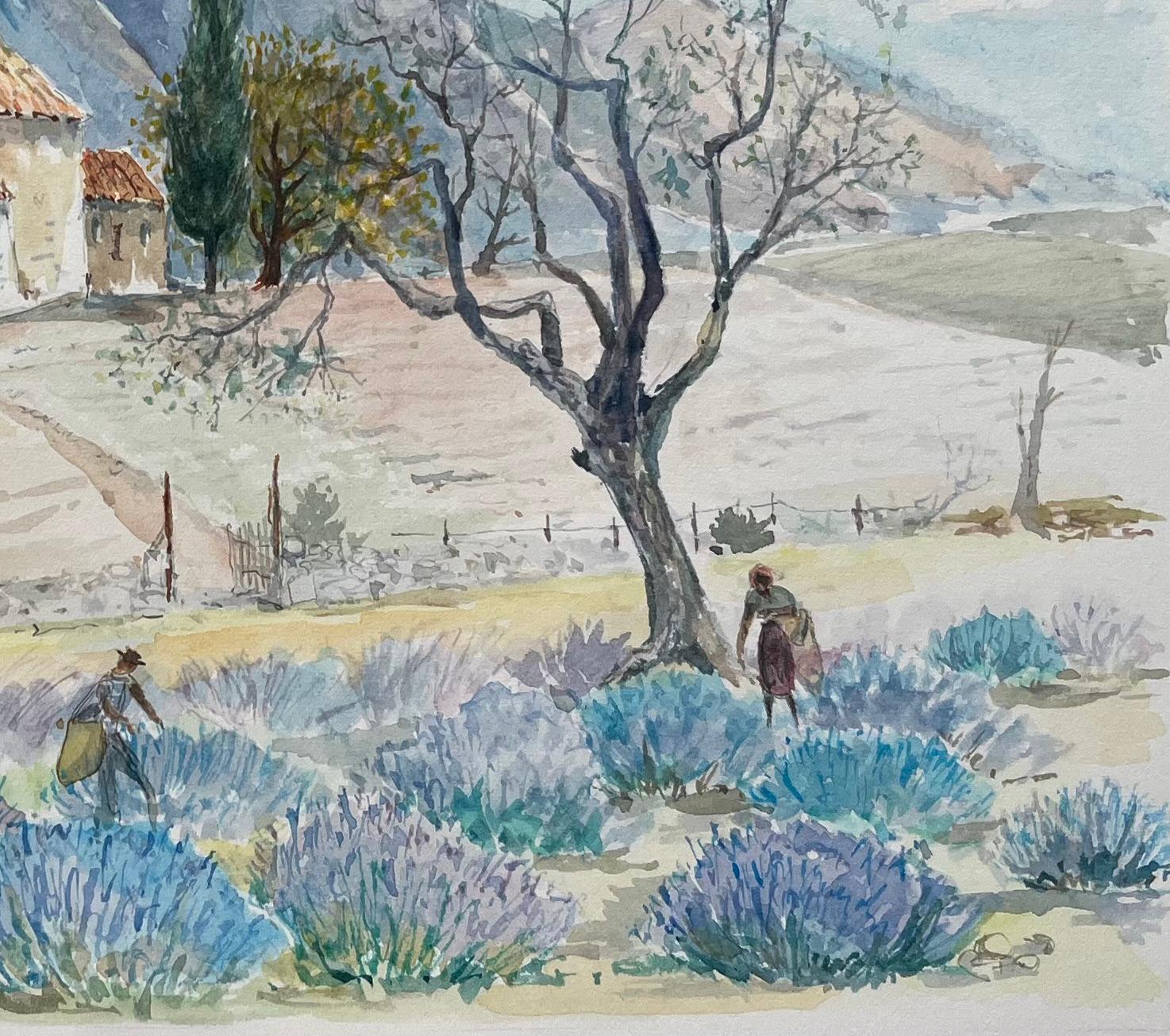Acuarela provenzal de campos de lavanda y capilla rústica en el campo - Art Escuela francesa de Robert Lepine (1929 - 2017)