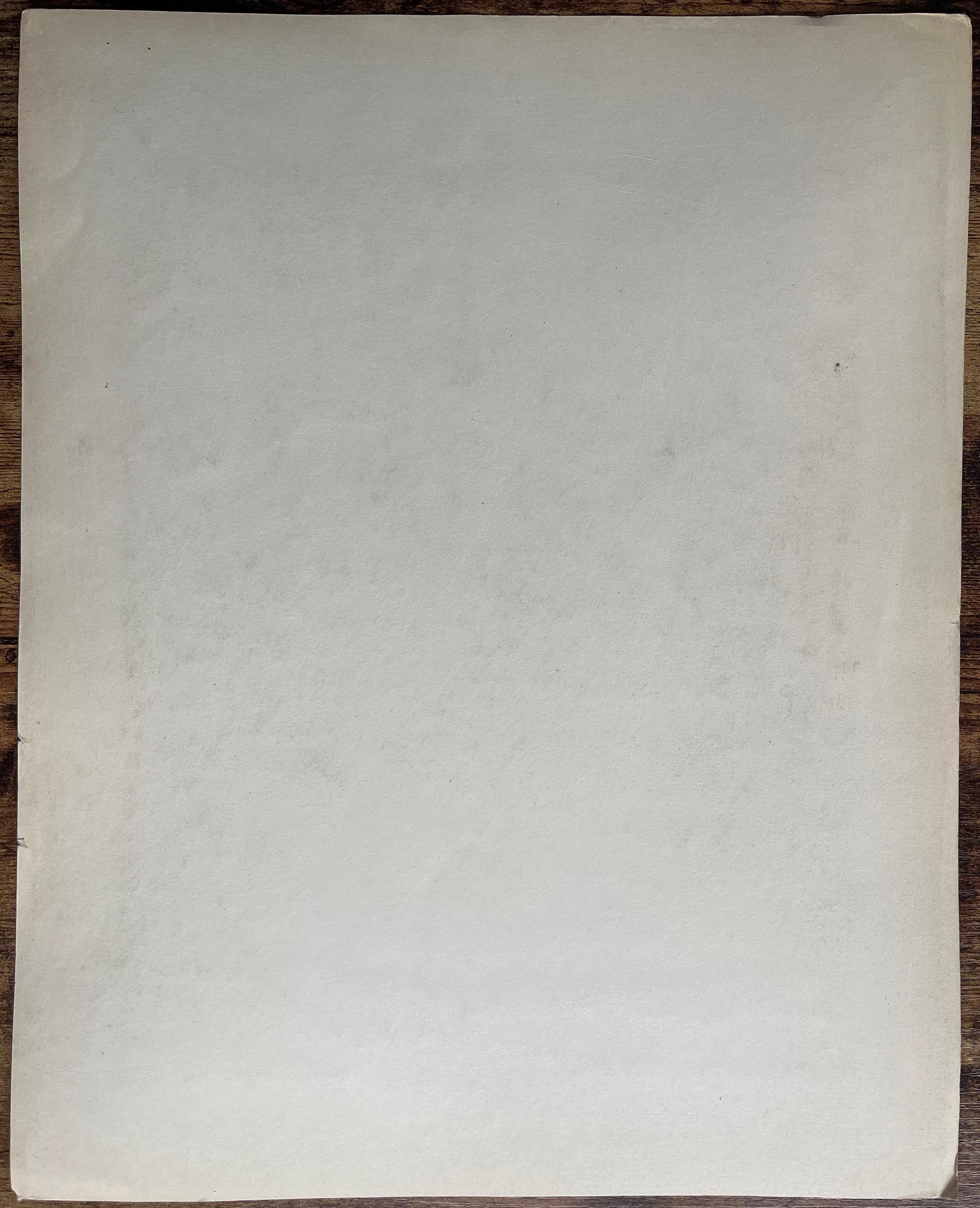 Pintura francesa al gouache sobre la caza de un Mustang indio en Nevada en venta 1