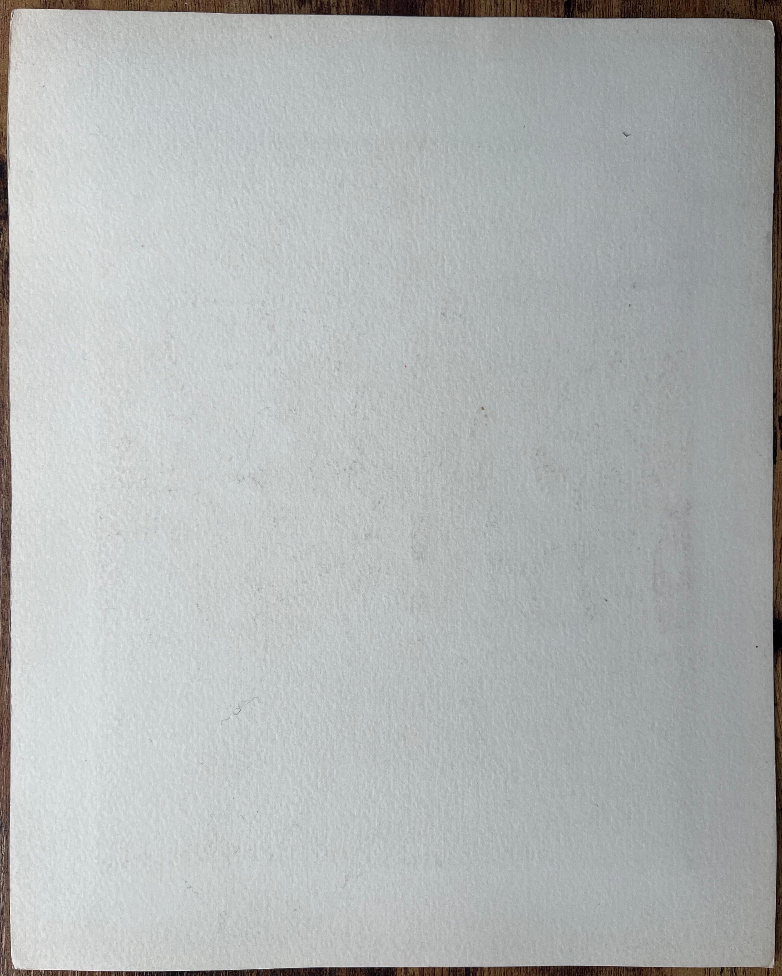 Pittura francese a guazzo di una danza notturna Navajo nel New Mexico in vendita 2