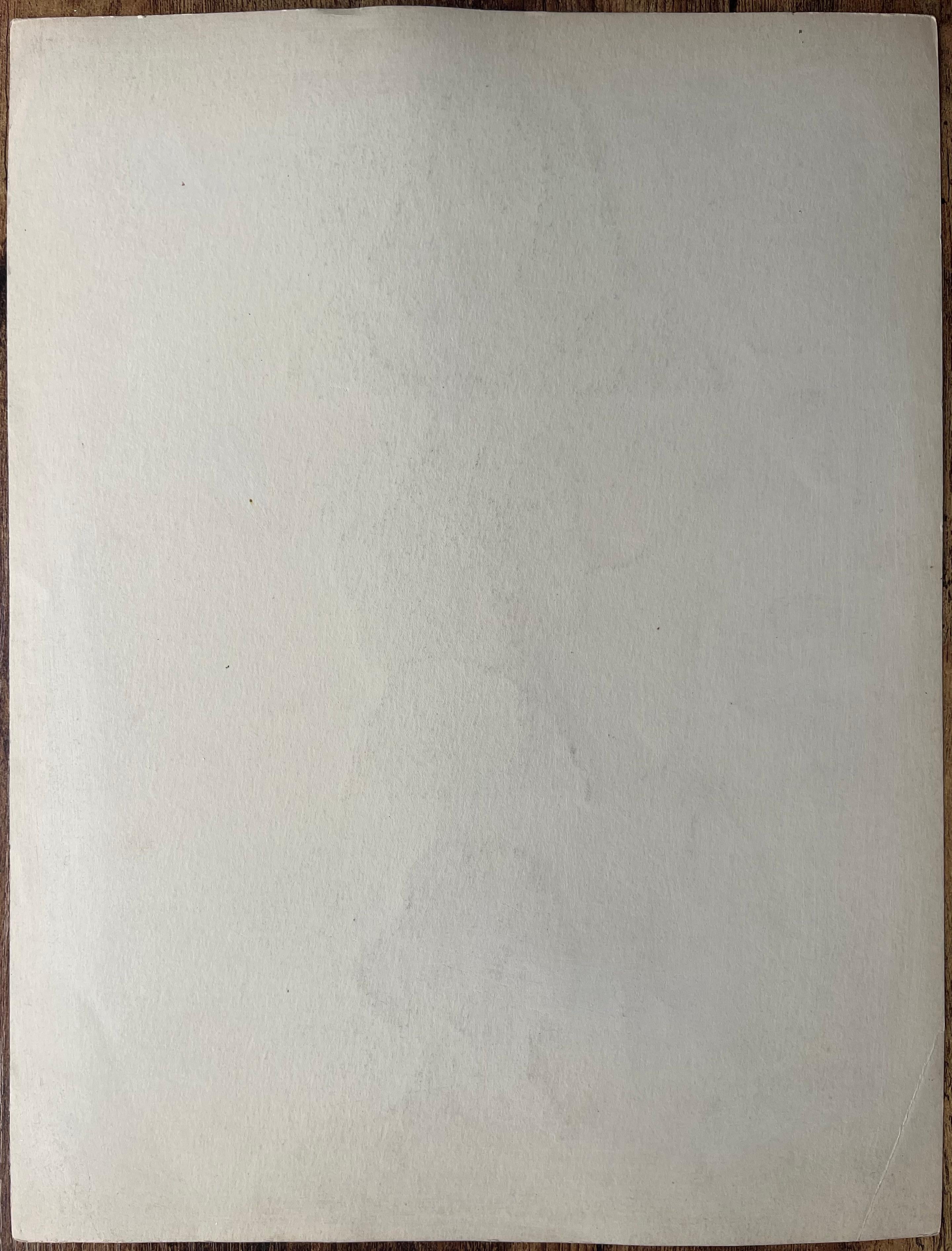 Französische Gouache-Porträtstudie von drei Navajo- und Kumeyaay-Figuren im Angebot 1