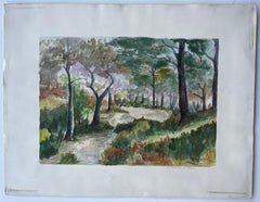 Woodland Path Among Pines Provence French Landscape Gouache