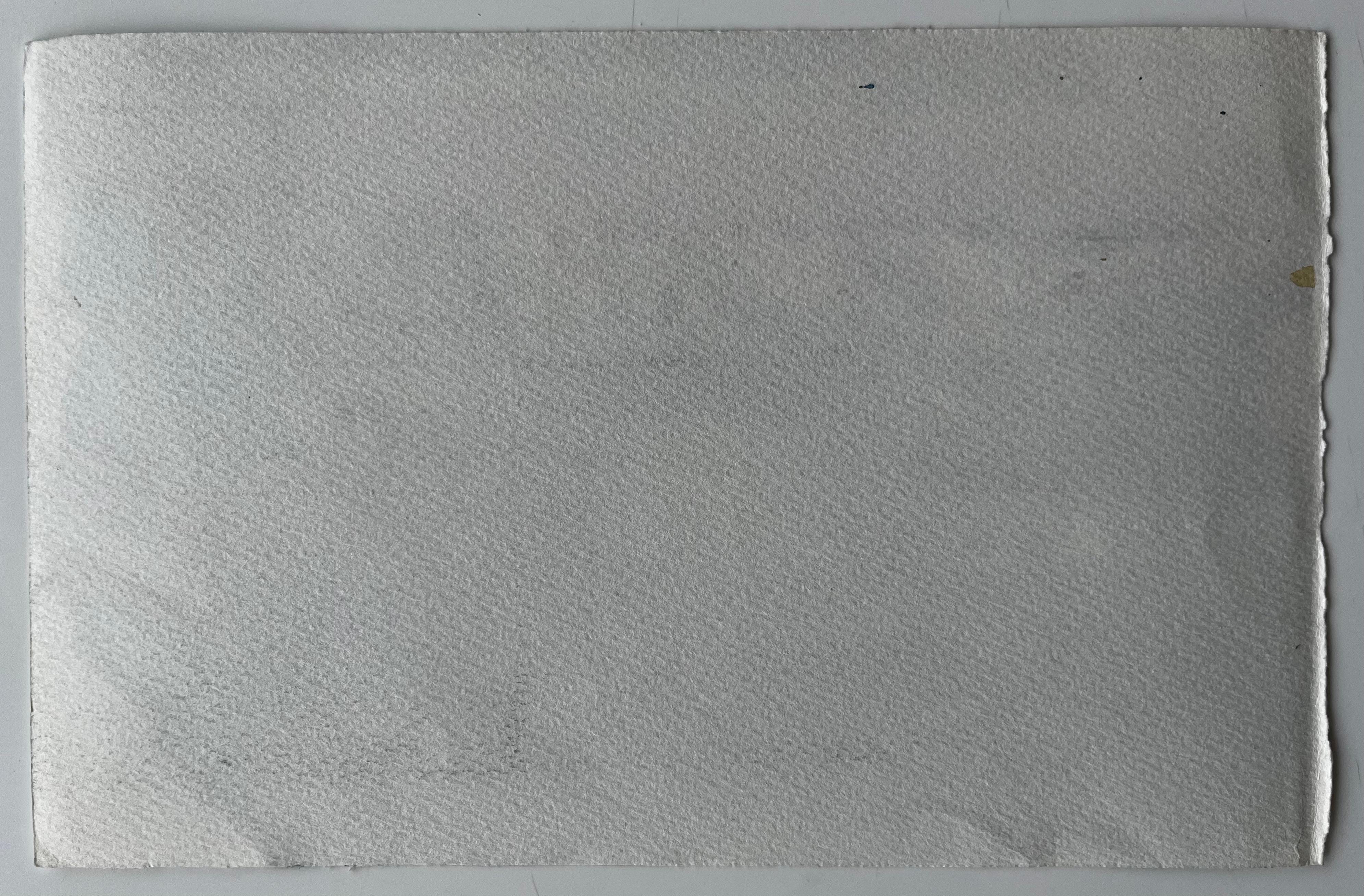 Bateaux de pêche méditerranéens Scène portuaire Aquarelle côtière de Pierre Neveu en vente 7