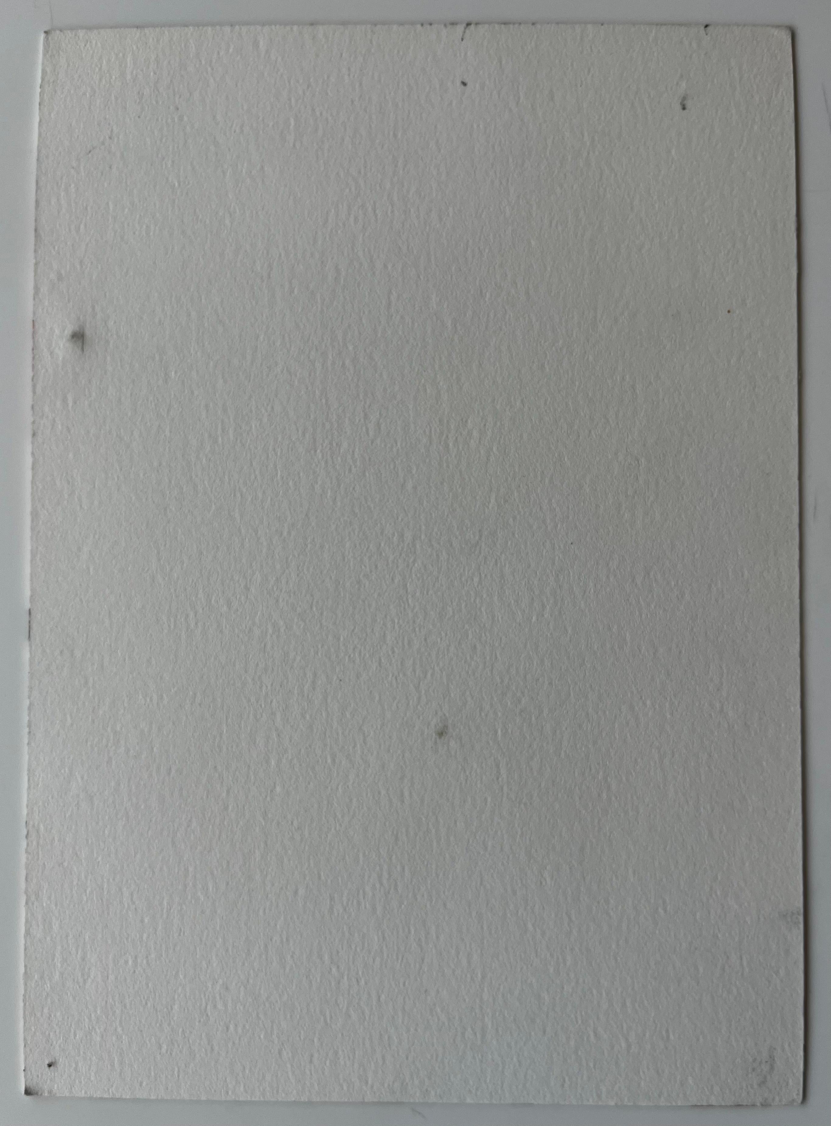 Duetto di musicisti di Cello e Violino che si esibiscono in una pittura ad acquerello in vendita 3