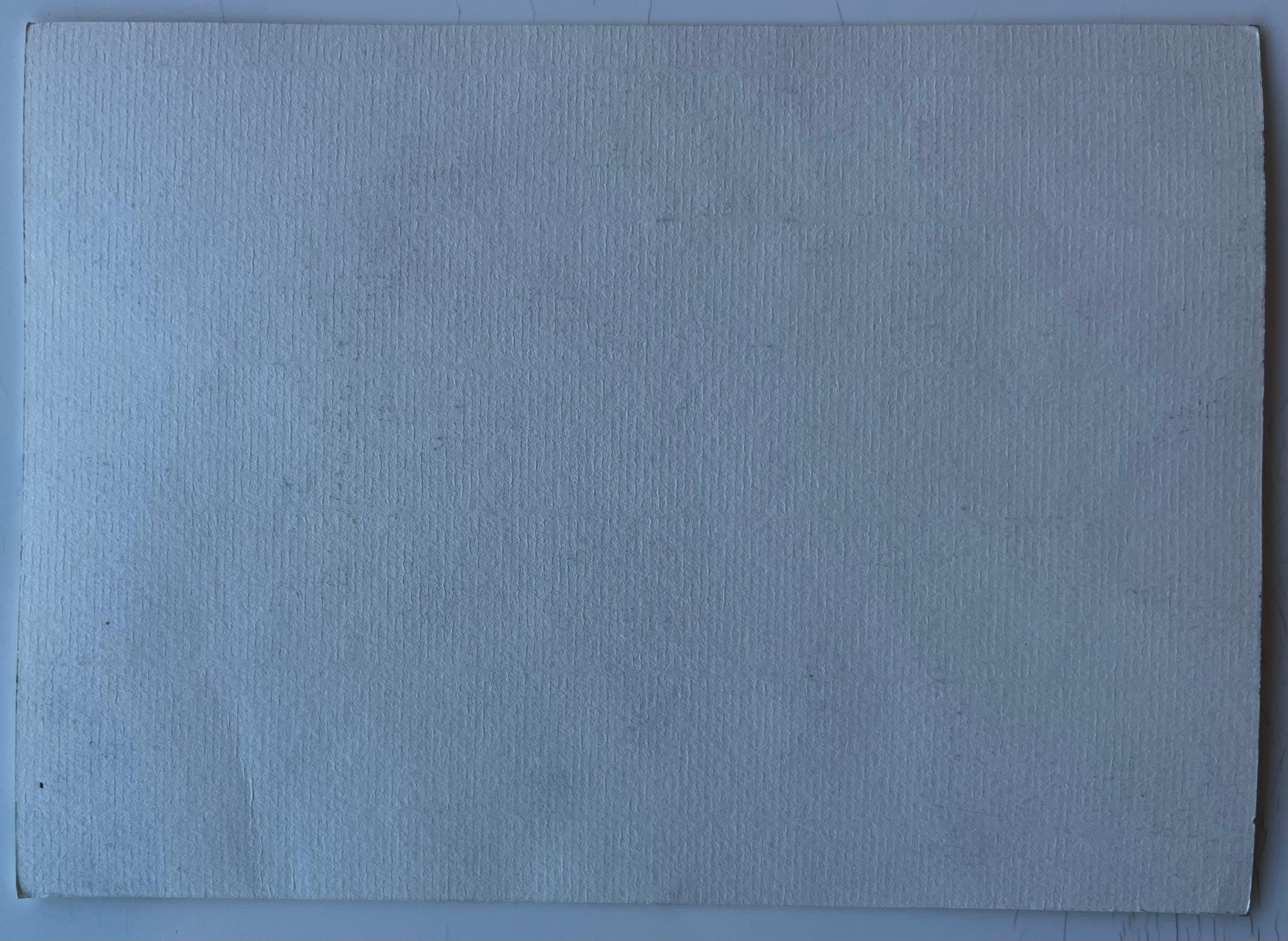 Natura morta di girasoli e mimose Acquerello di Pierre Neveu del metà del secolo scorso in vendita 7