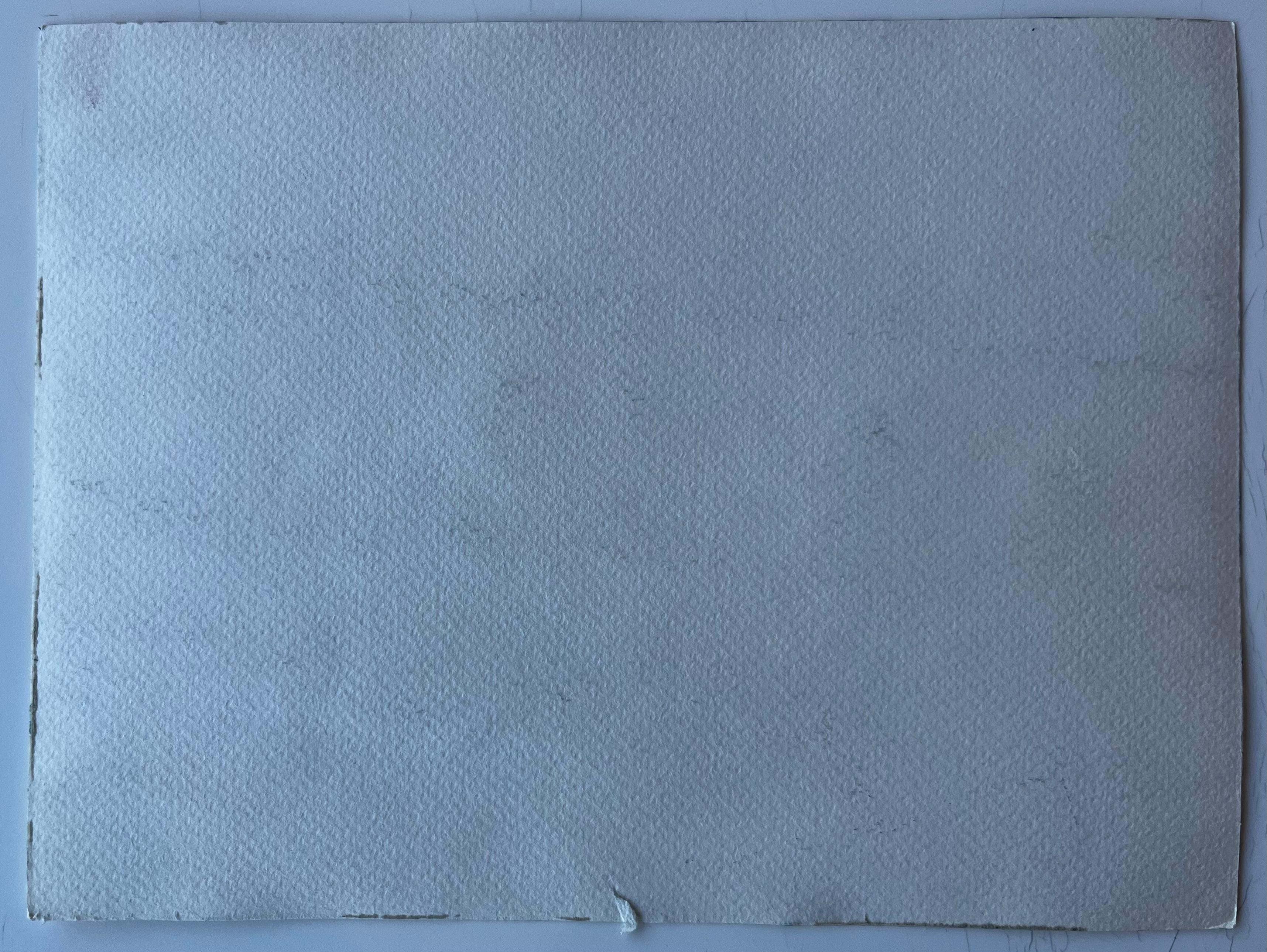 Dunes et cabanes de plage à Saint Briac sur Mer Bretagne Aquarelle française en vente 3