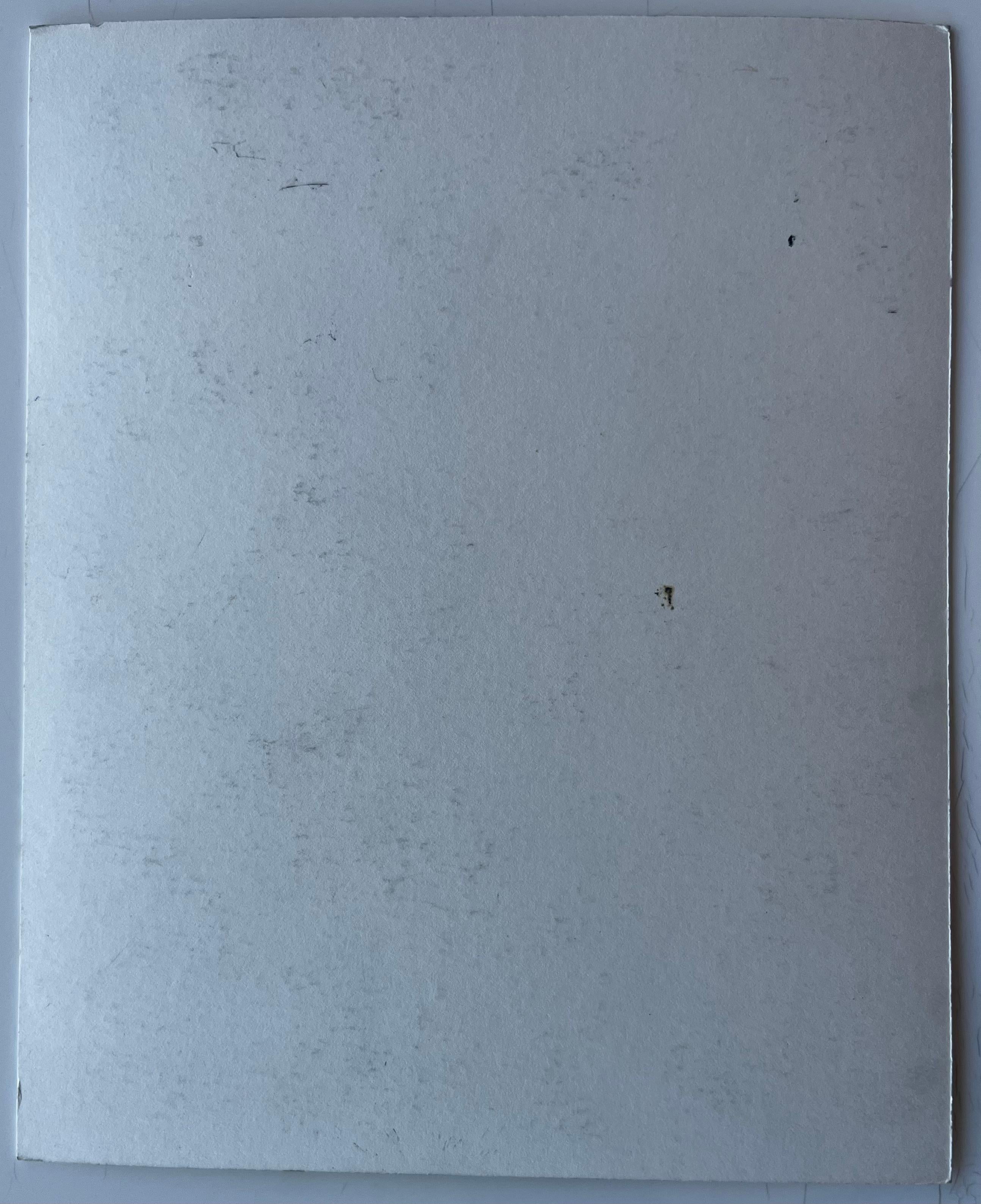 Château Turm und Gärten in Vannes Bretagne Französisch Aquarell von Pierre Neveu im Angebot 7