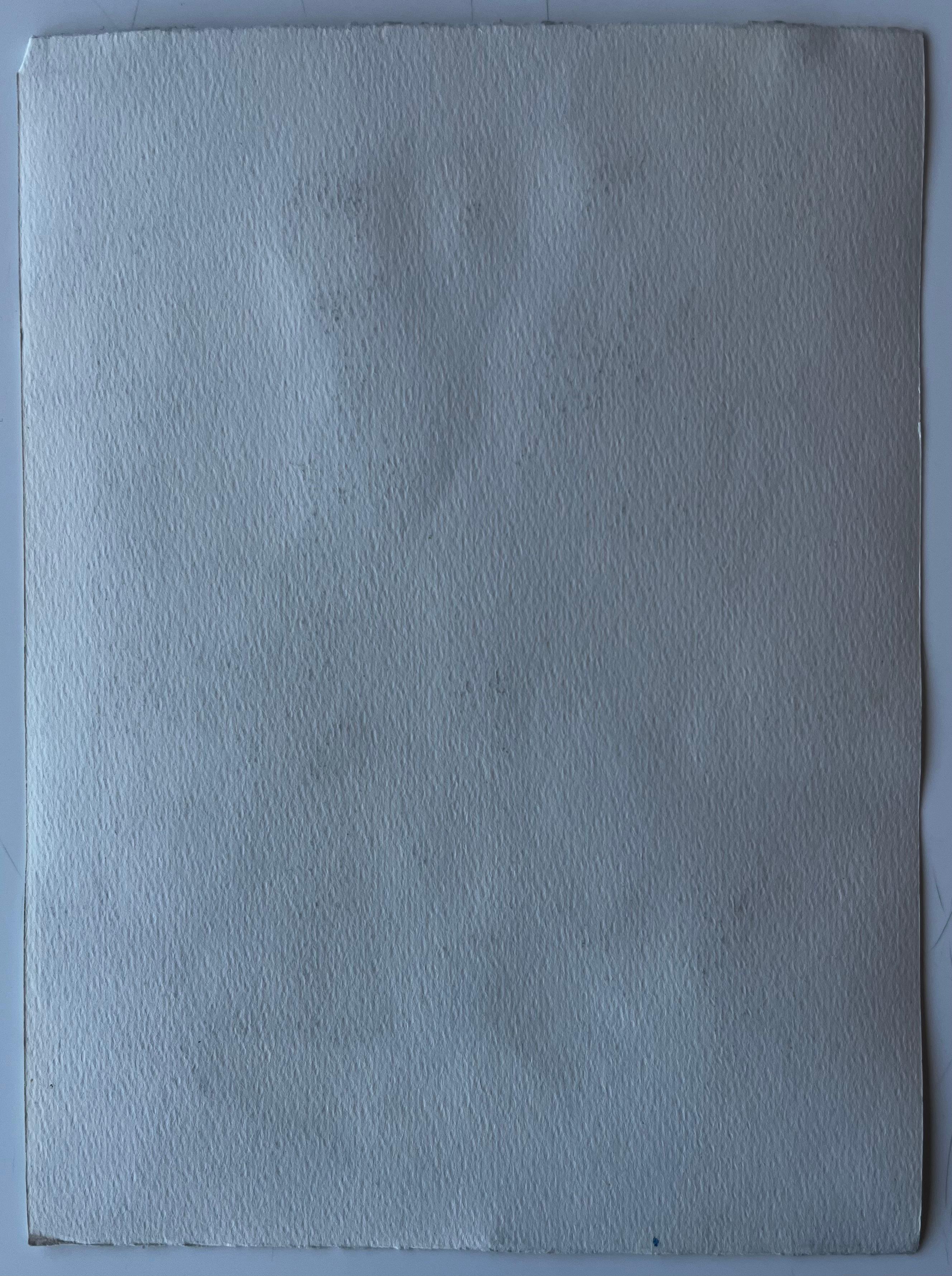 Passi illuminati dal sole a Mentone Scena di strada della Costa Azzurra Acquerello di Pierre Neveu in vendita 7