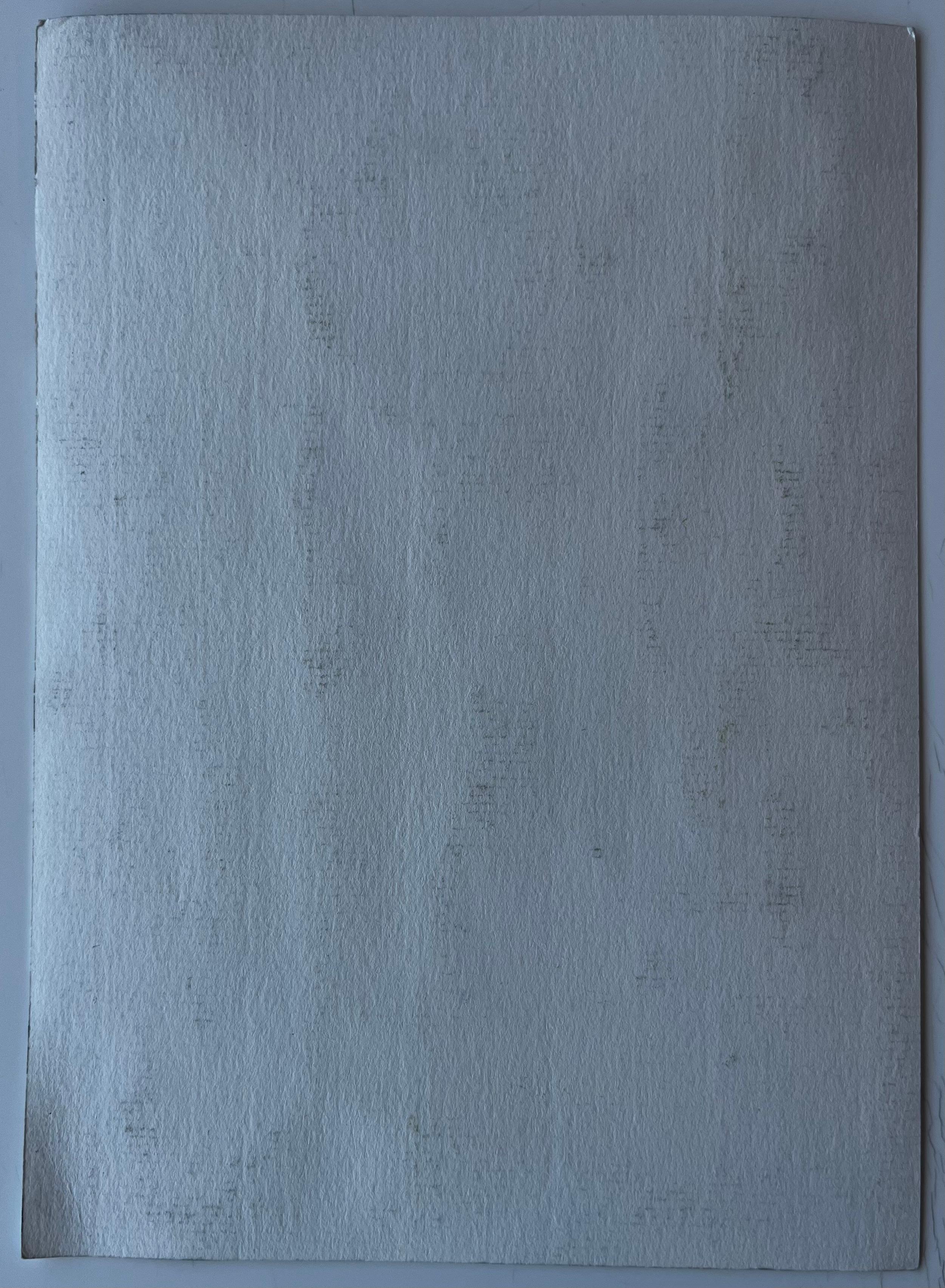 Grasse Provenza Escena callejera de pueblo iluminado por el sol Acuarela de Pierre Neveu en venta 7