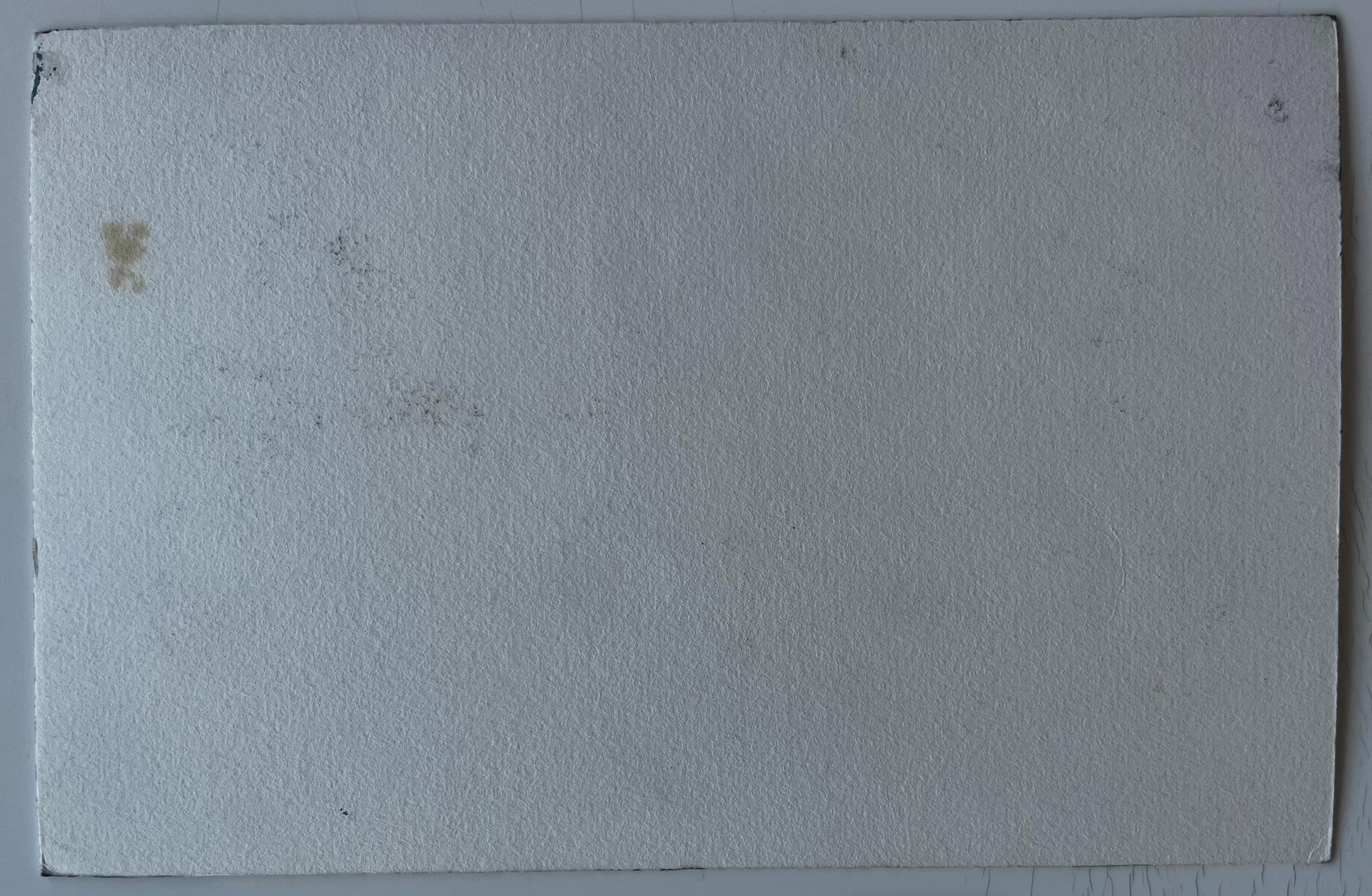 Jardín francés y casa de piedra Acuarela de Pierre Neveu en venta 7