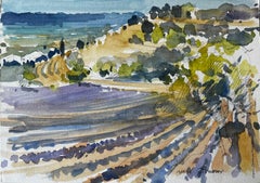 Provence Champs de lavande Hilles et cyprès Paysage français