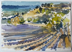 Provence Lavendelfelder Hügel und Zypressen Französische Landschaft