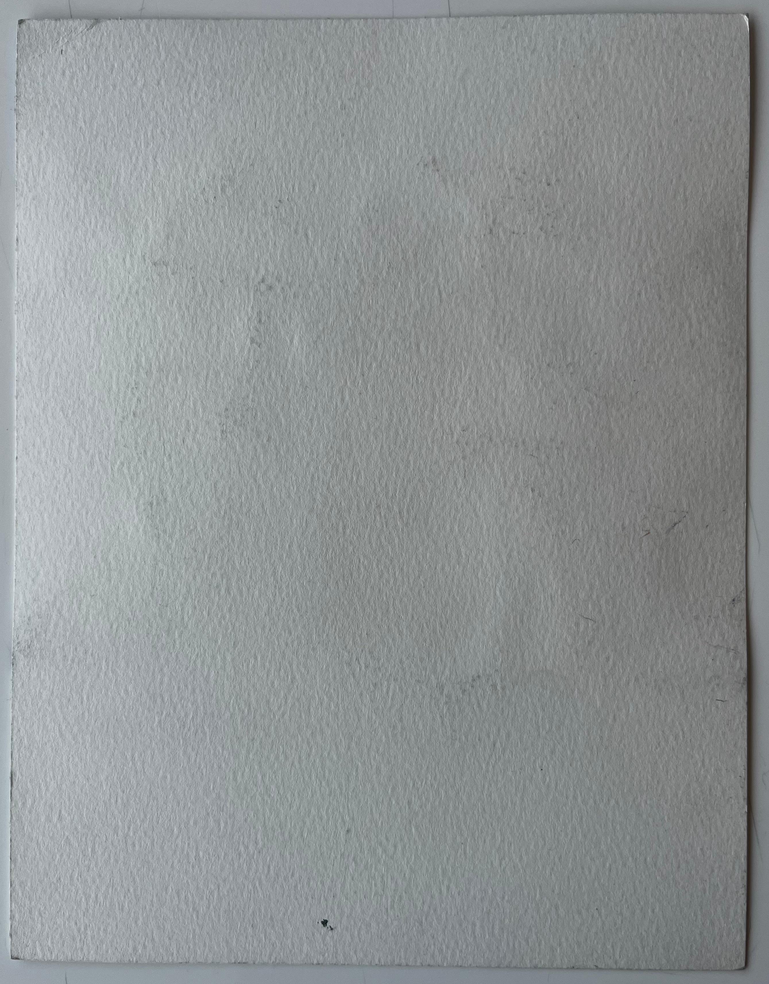 Villaggio in collina della Provenza con tetti in terracotta Paesaggio francese acquerello in vendita 3